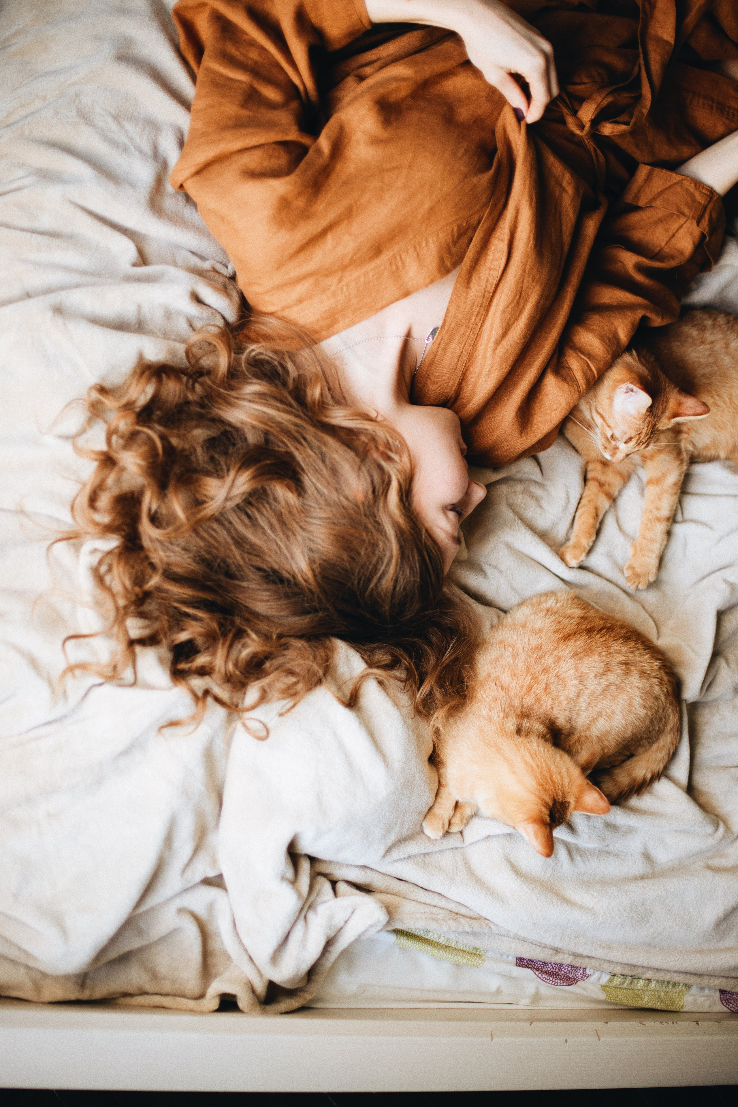 Катя, Булочка и Пирожок дома. Фотограф анималист Кристина Карпова, Москва