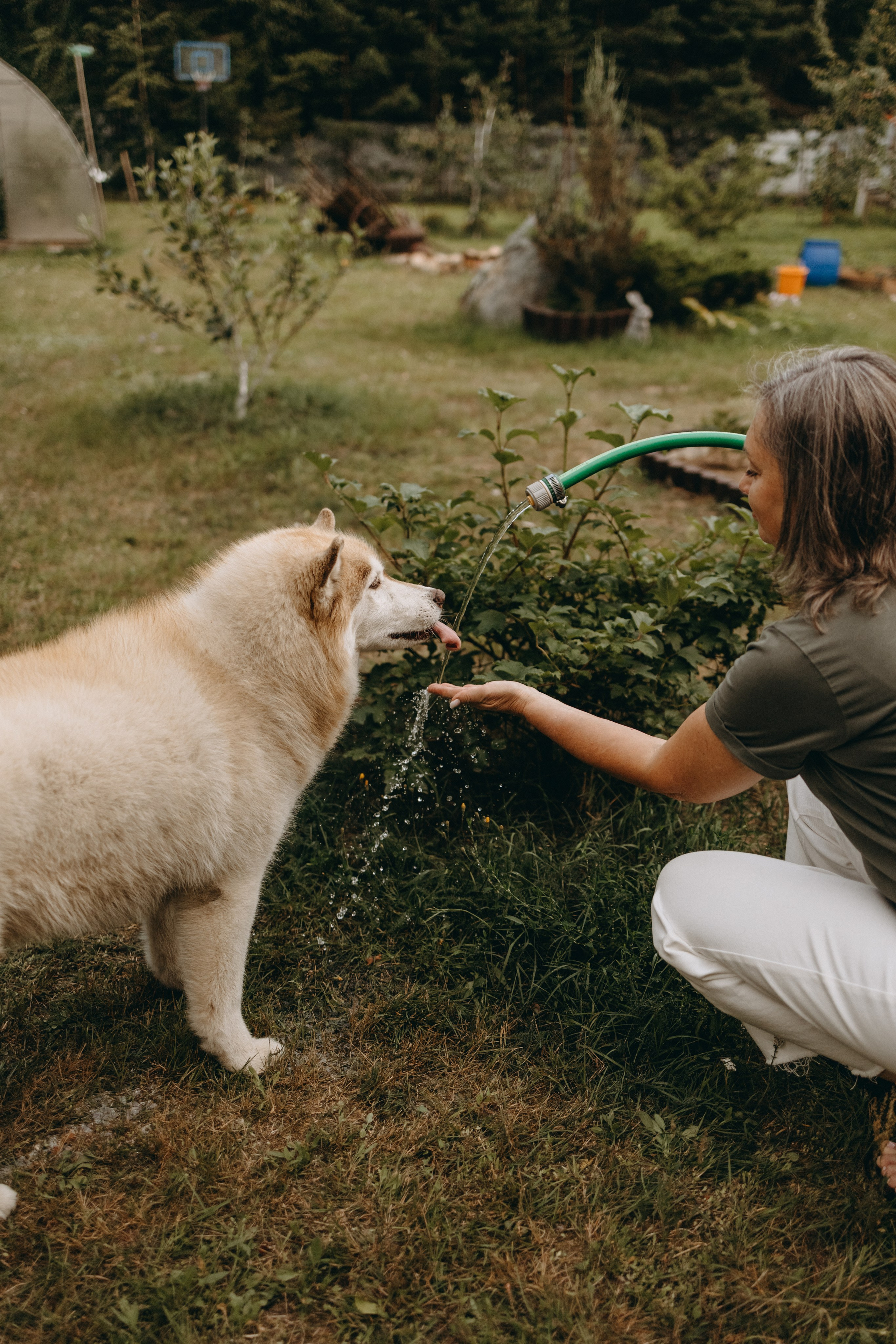 Дом у реки. Фотограф — Анималист | Санкт-Петербург