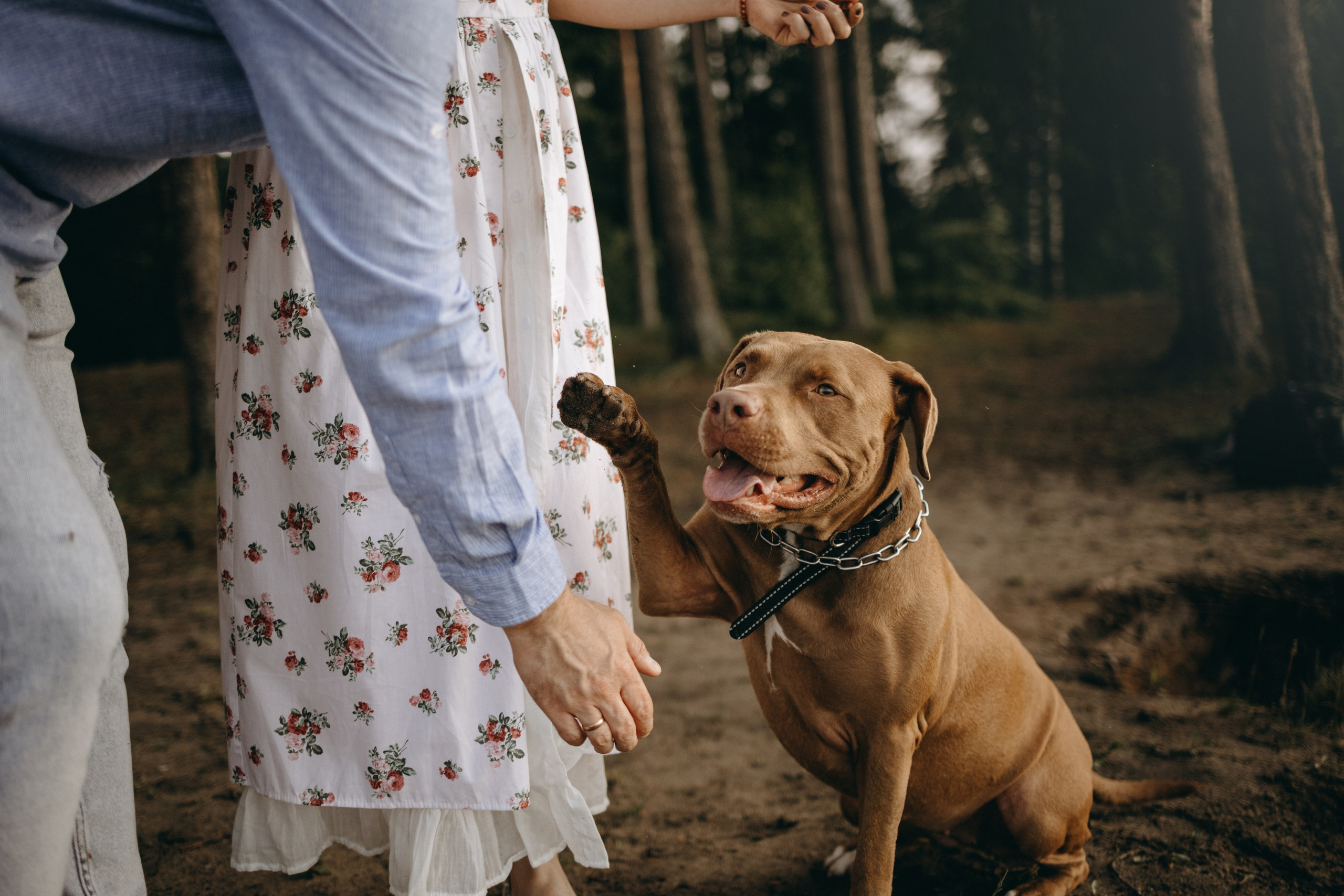 Бонни и ее семья. Фотограф — Анималист | Санкт-Петербург