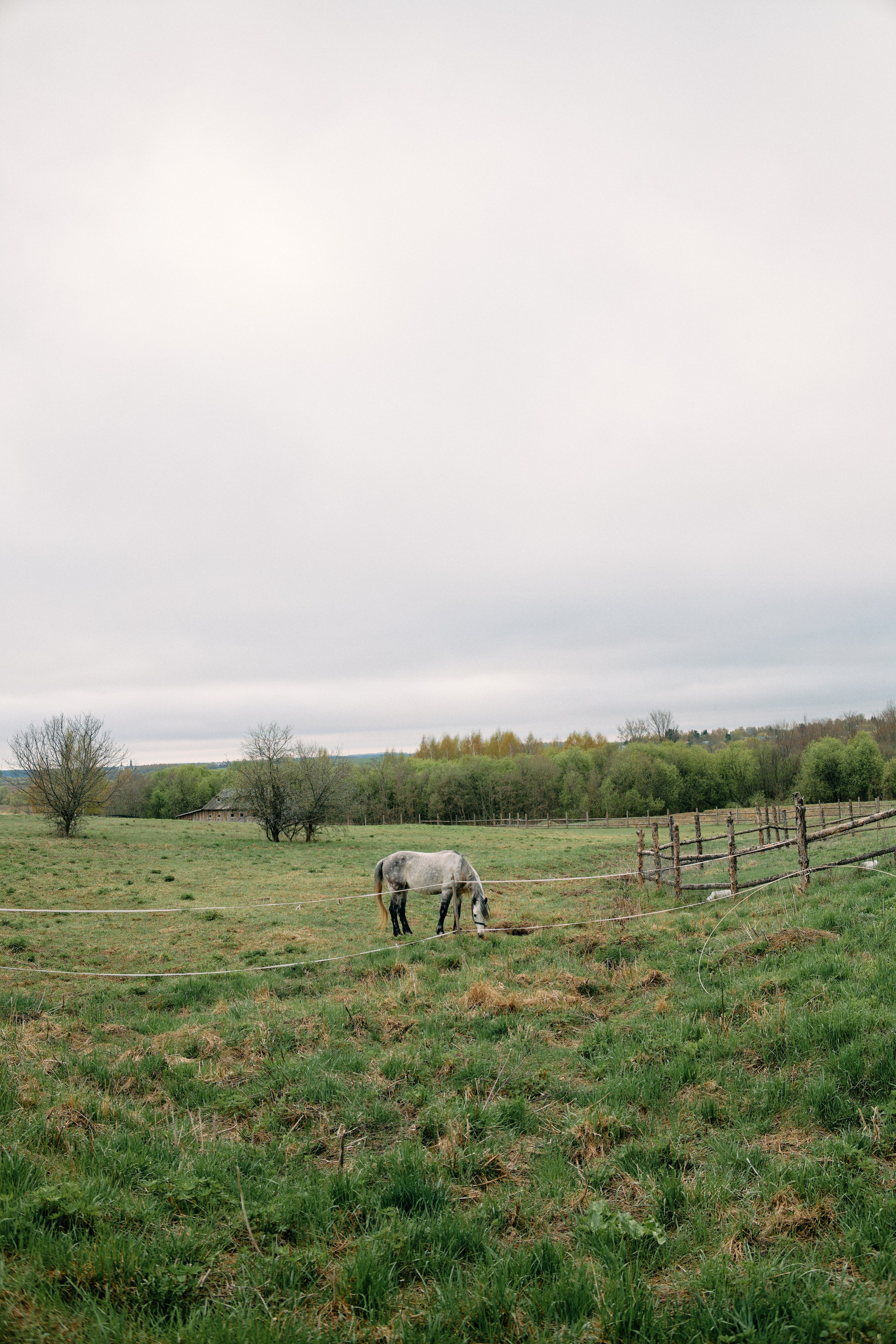 Бутик-отель Поле летом. Профессиональный Фотограф во Владимире, в Москве и в Суздале — Полина Романычева