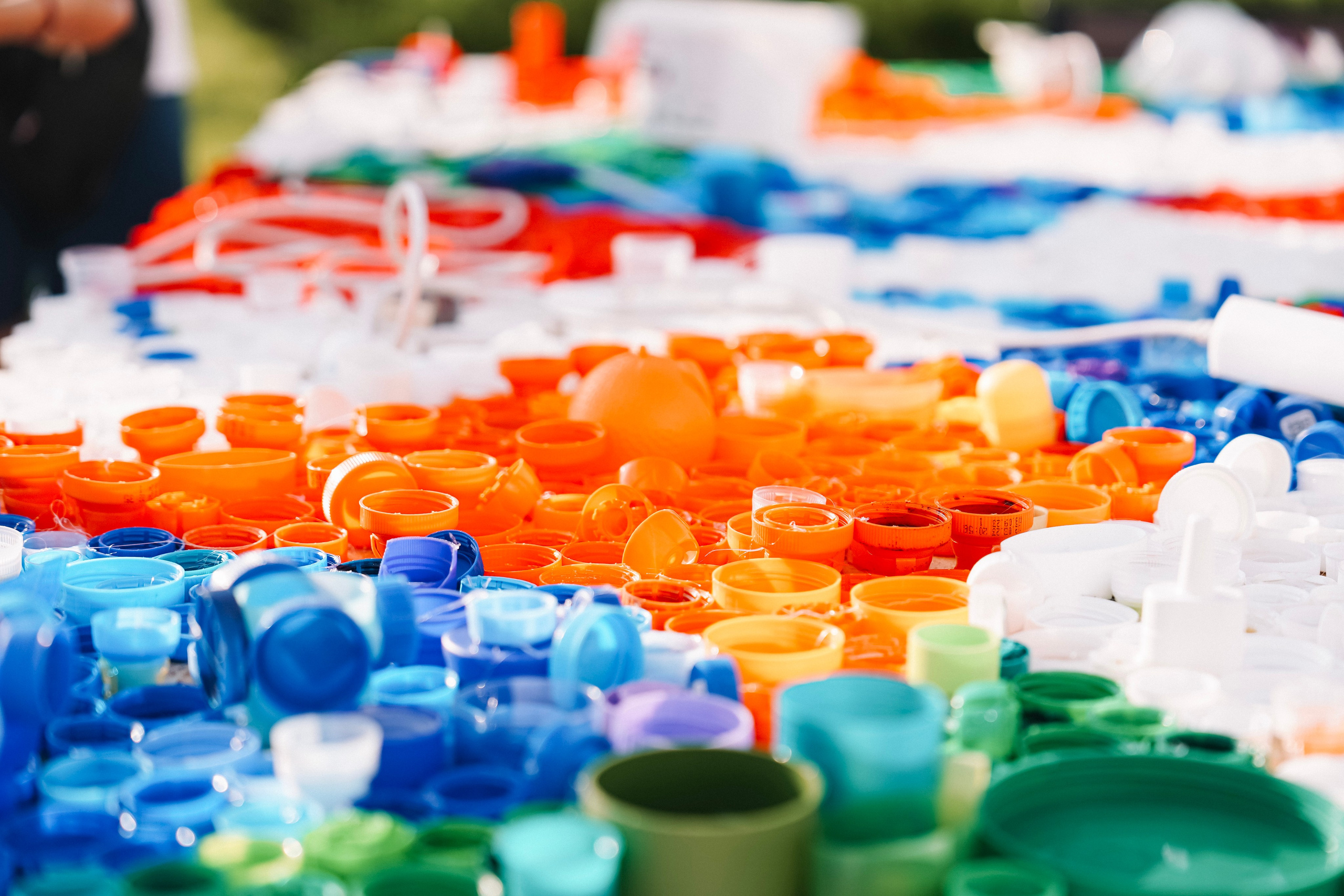 Инсити / Экопраздник в Любимово. Фотограф с психологическим образованием