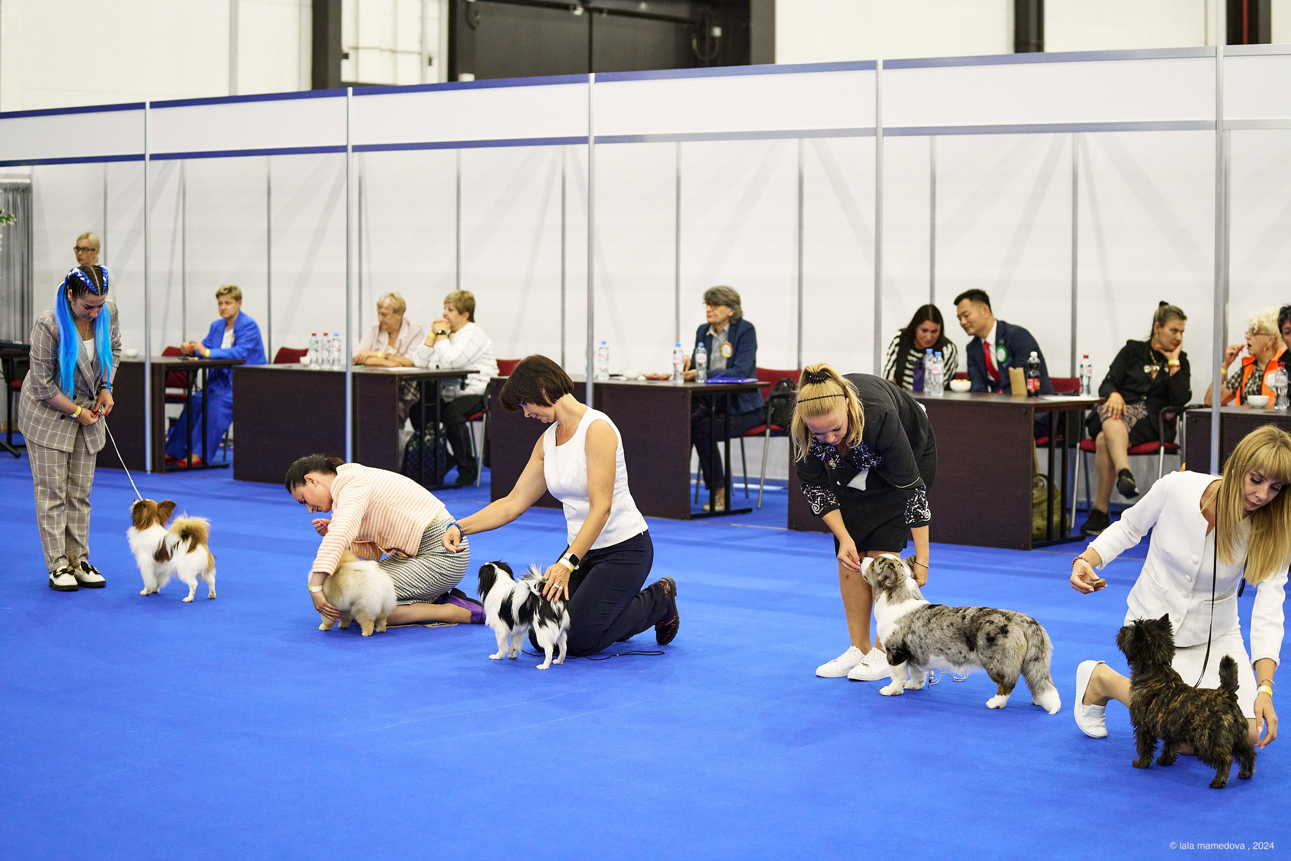 20.07.2024 | «БАЛТИК-ШОУ-1-2024»