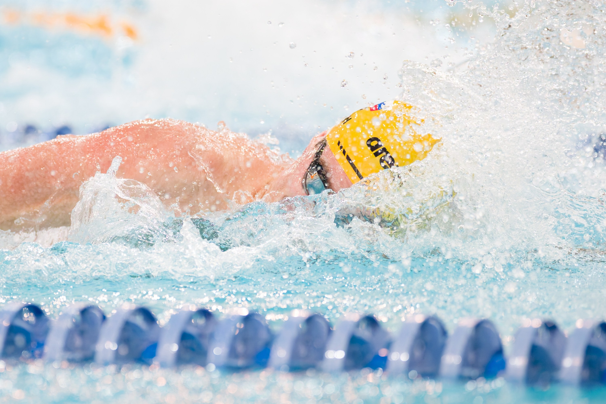 Чемпионат Санкт-Петербурга по плаванию. Профессиональный спортивный фотограф в Санкт-Петербурге