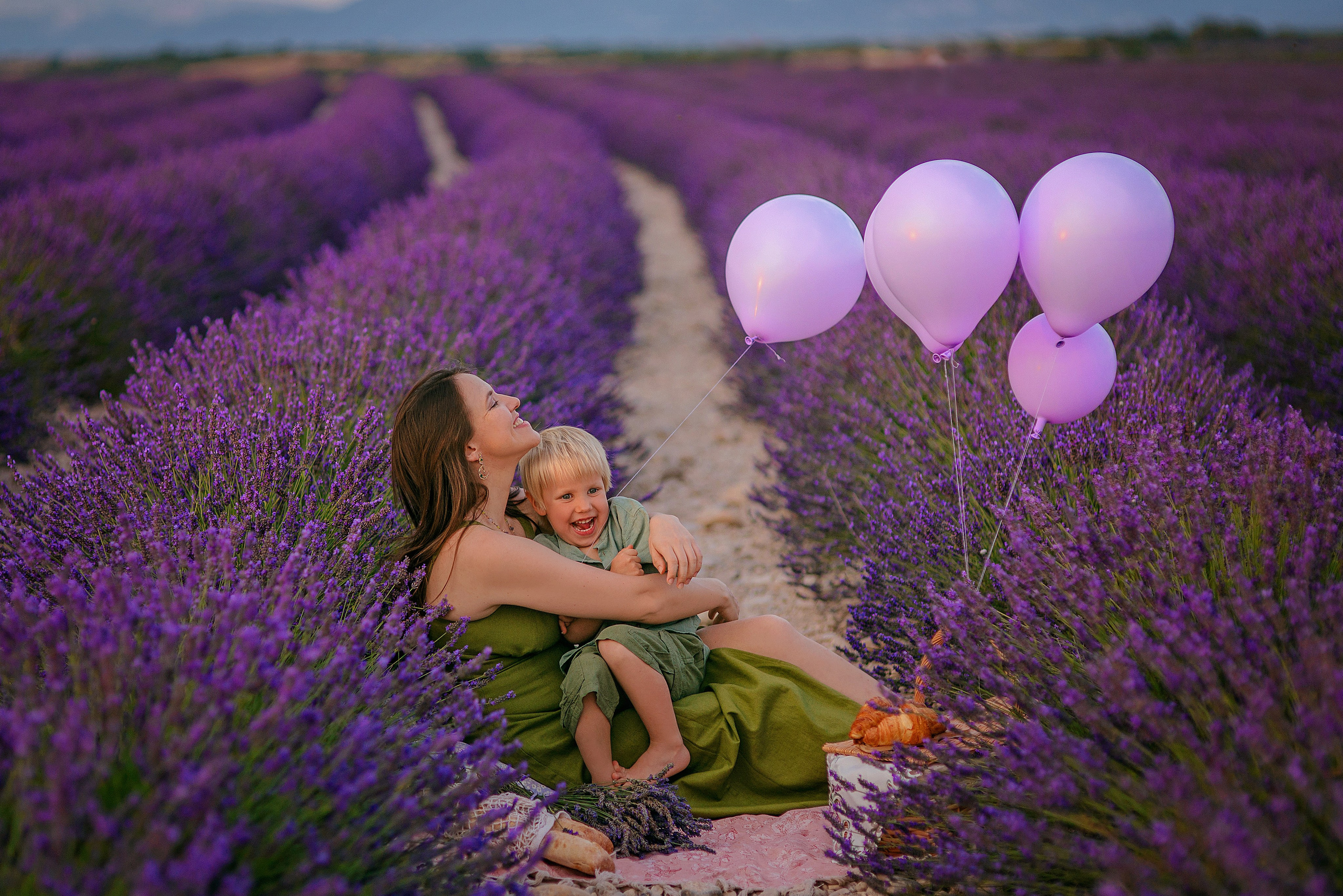 Lavender. Photographer in Provence Julia Lipiainen