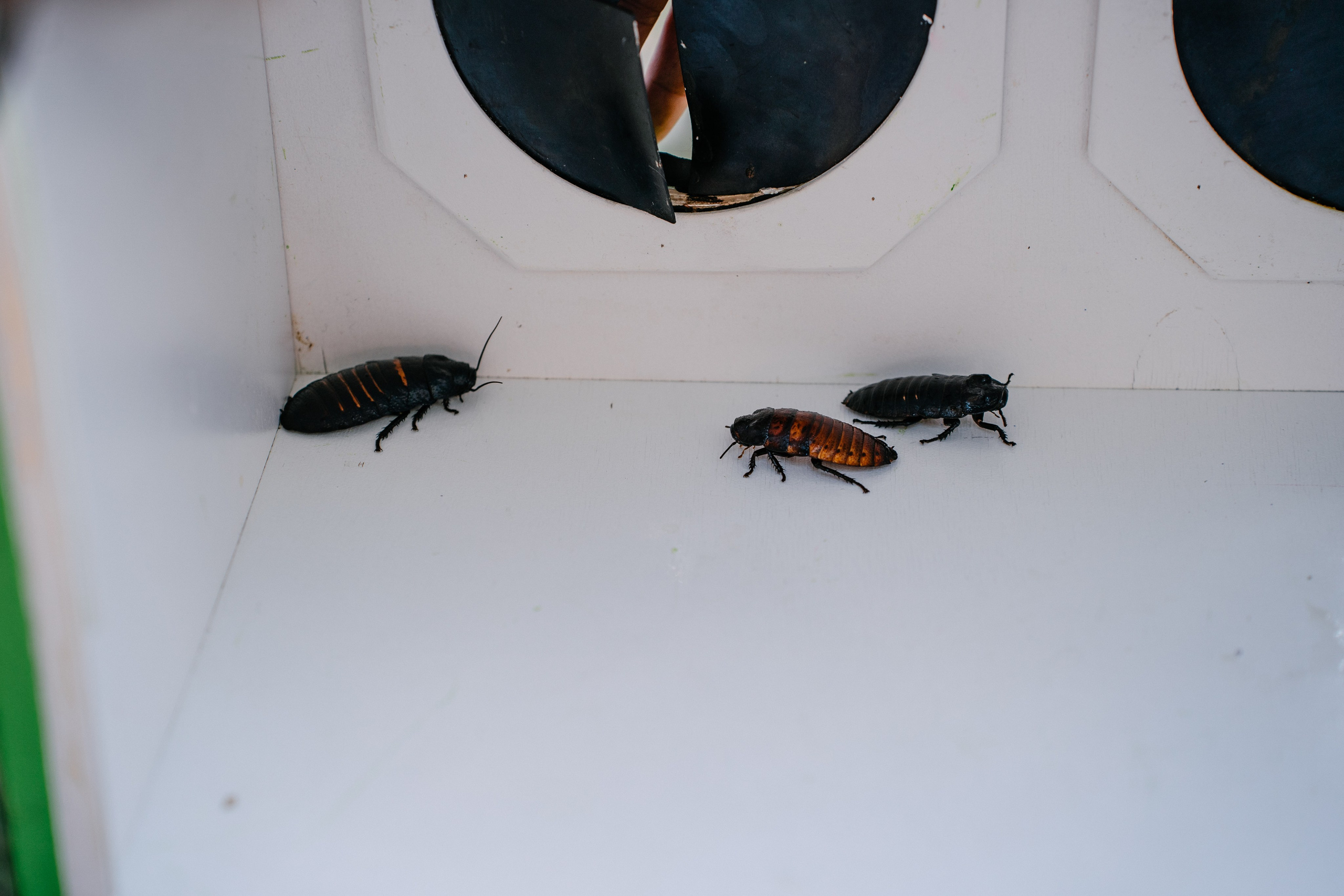 День Рождения Артёма. Свадебный и семейный фотограф в Воронеже Анастасия Бойко