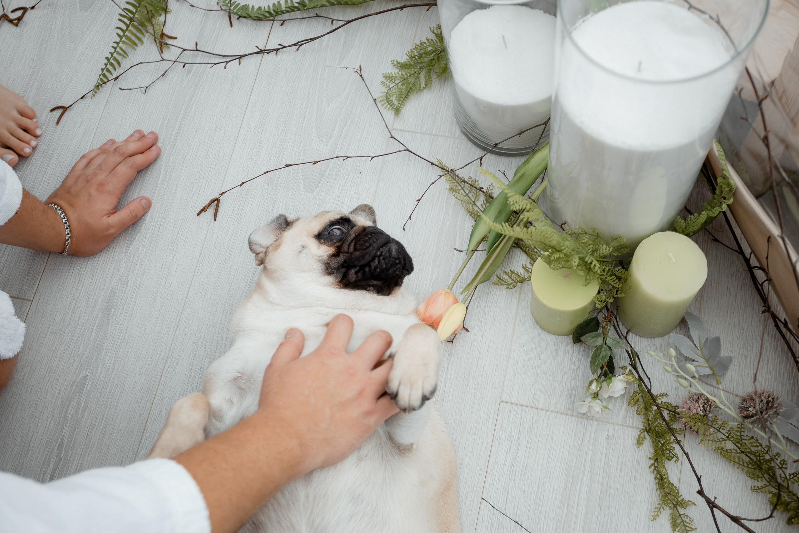 Love Story Изгиб. Свадебный фотограф Дмитрий Воробьев Ярославль