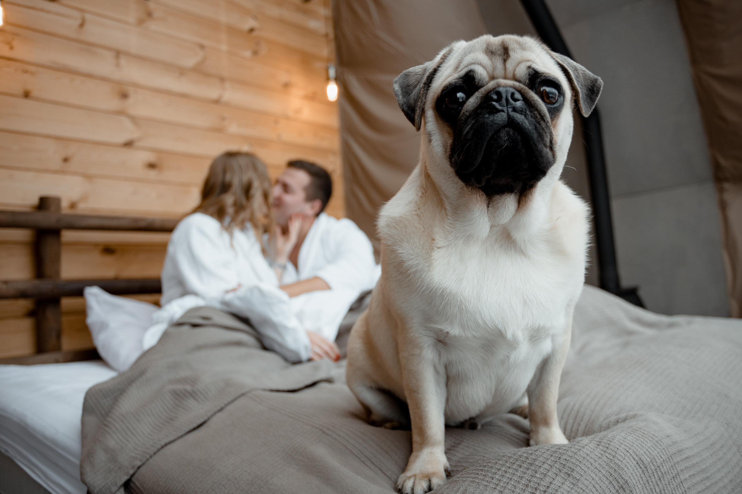 Love Story Изгиб. Свадебный фотограф Дмитрий Воробьев Ярославль