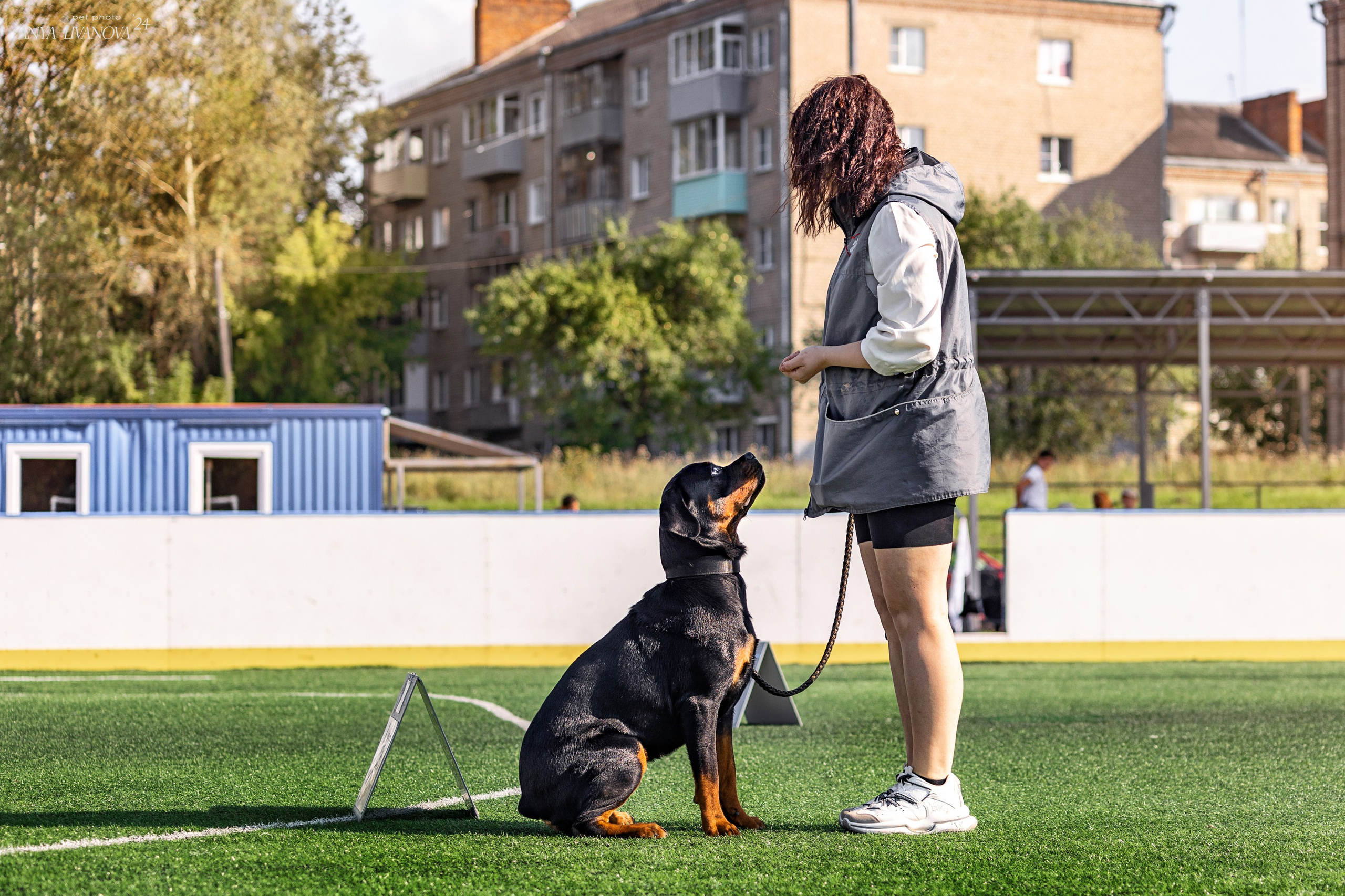 Ралли обидиенс. Фотограф анималист Аня Ливанова | Рыбинск