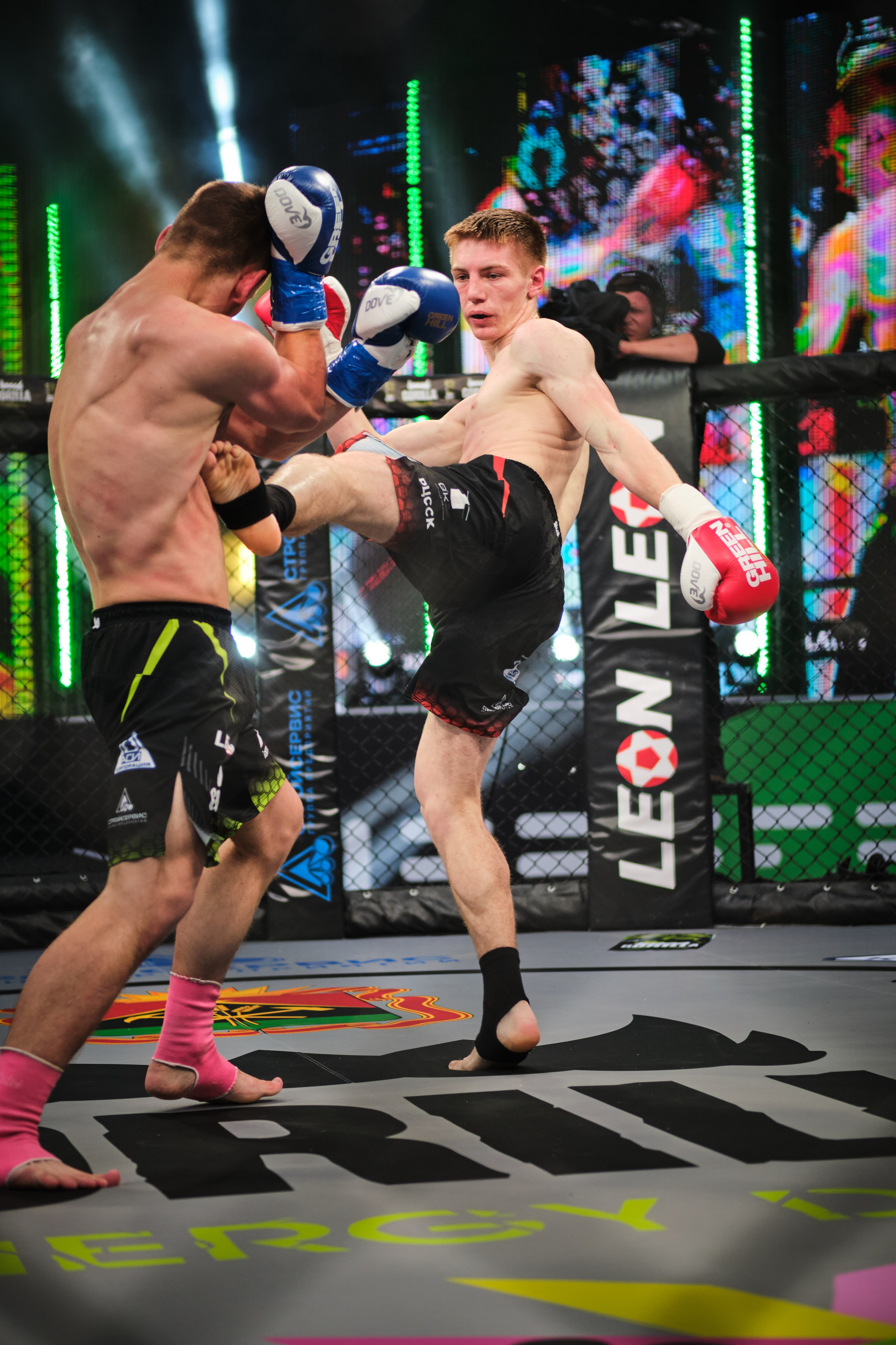 ММА на ПРО ГЕШ. Свадебный и семейный фотограф в Новокузнецке Иван Иванов