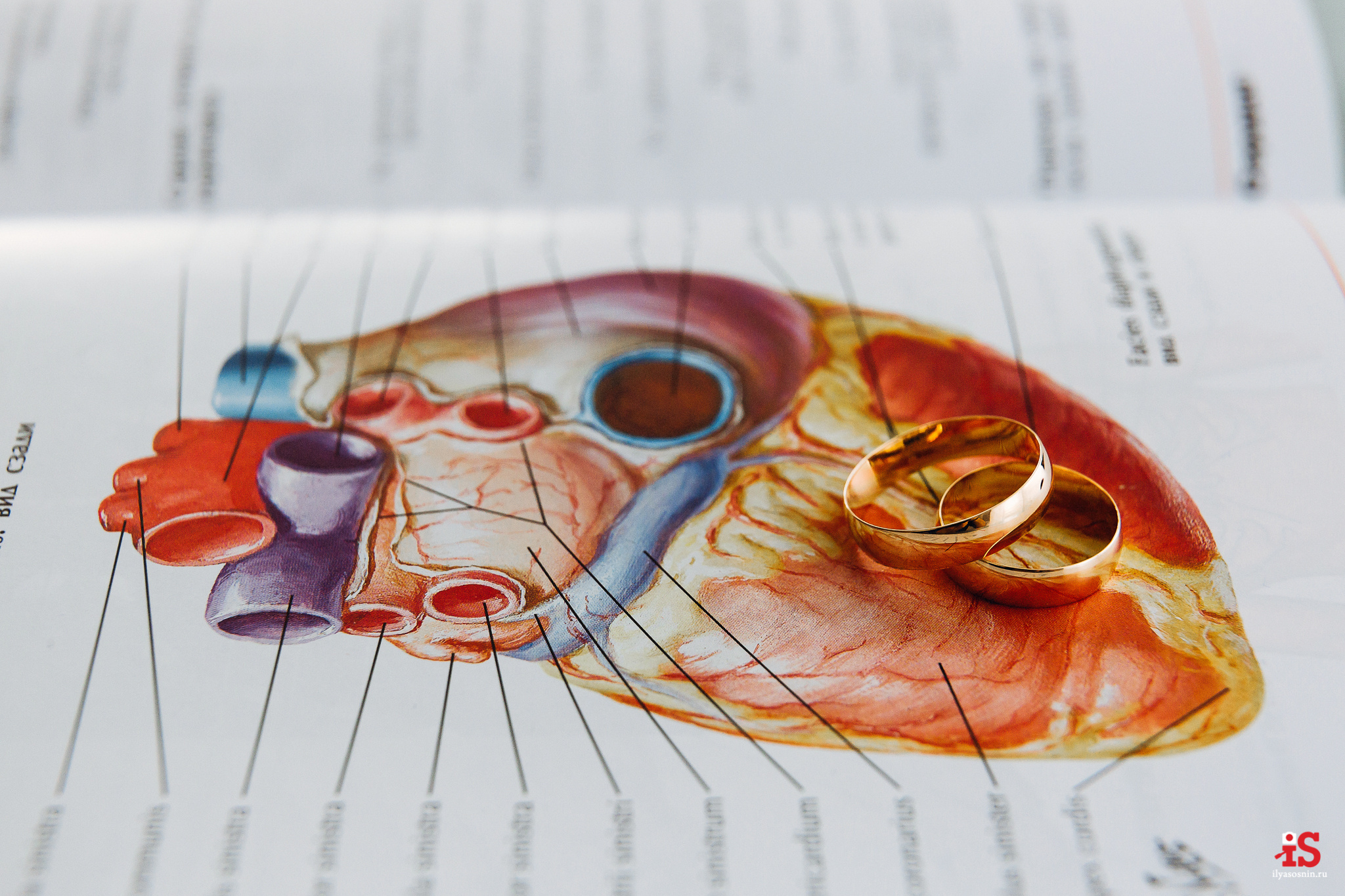 фотограф Птз, фото на свадьбу Петрозаводск, фотограф на свадьбу Петрозаводск, лучшие фотографы Петрозаводск Птз, свадебный фотограф Новороссийск, свадебный фотограф Сочи, фотограф на свадьбу Финляндия, свадебный фотограф Хельсинки, фотограф на свадьбу Спб, свадебный фотограф Питер