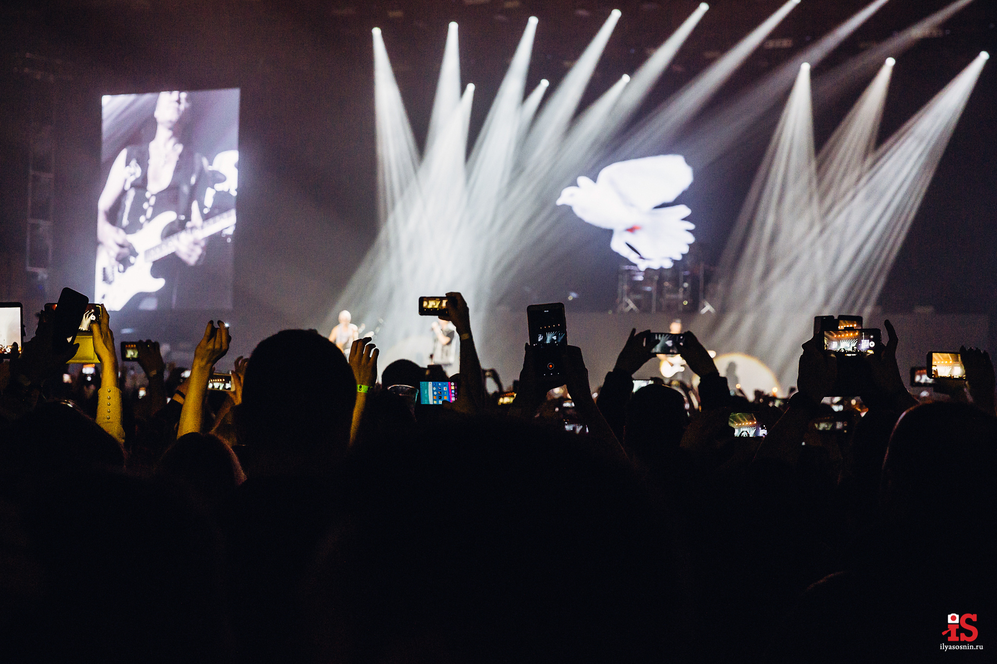 Репортажное фото, фото событий, репортажный фотограф Птз, съемка концертов, съемка выпускных, фотограф на выпускной, фотограф на корпоратив Петрозаводск, события, мероприятия фото, концерты, корпоративы, выставки, торжества, тимбилдинг
