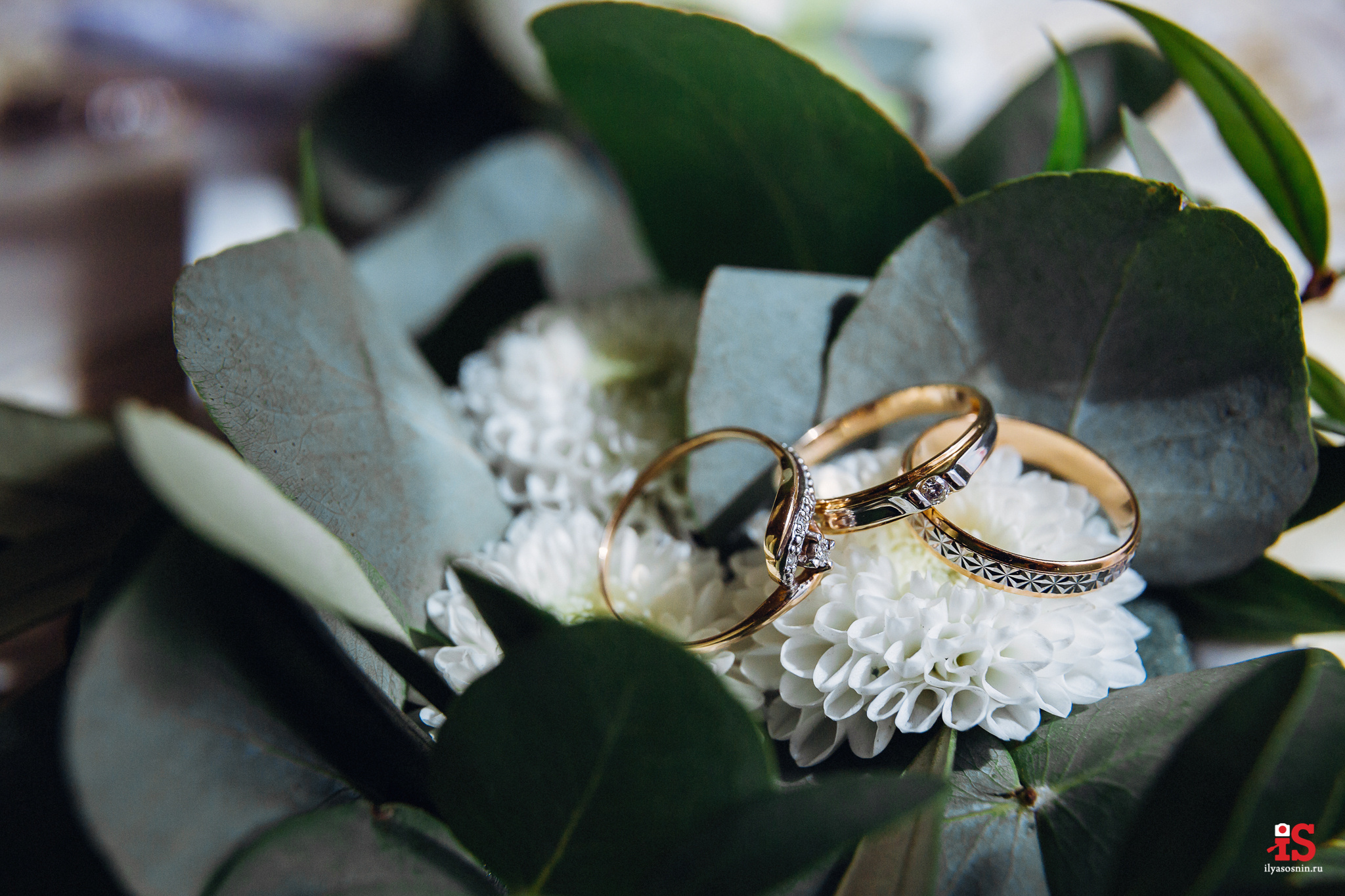 фотограф Птз, фото на свадьбу Петрозаводск, фотограф на свадьбу Петрозаводск, лучшие фотографы Петрозаводск Птз, свадебный фотограф Новороссийск, свадебный фотограф Сочи, фотограф на свадьбу Финляндия, свадебный фотограф Хельсинки, фотограф на свадьбу Спб, свадебный фотограф Питер