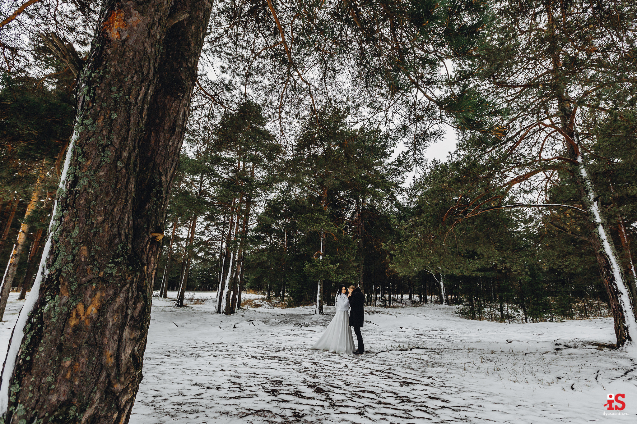 Лучшие свадебные фотографы Птз. Профессиональный фотограф Петрозаводск Илья Соснин