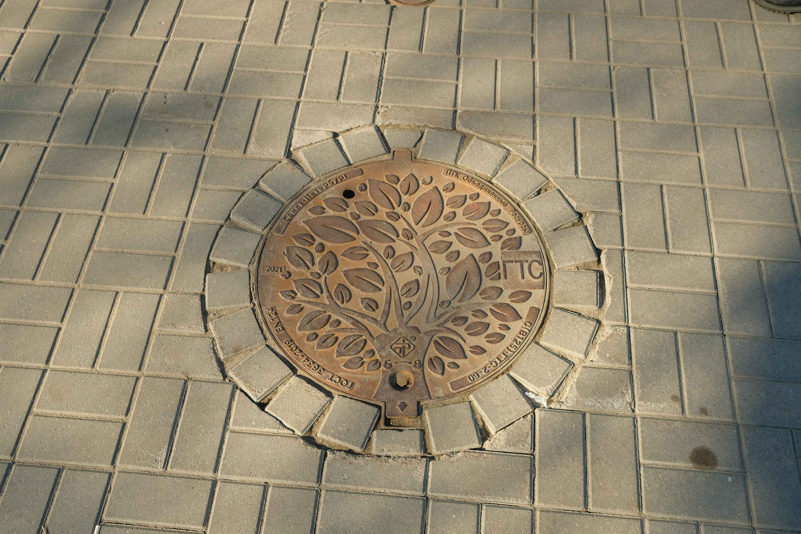 2022.04. Фотограф Алексей Алексеев