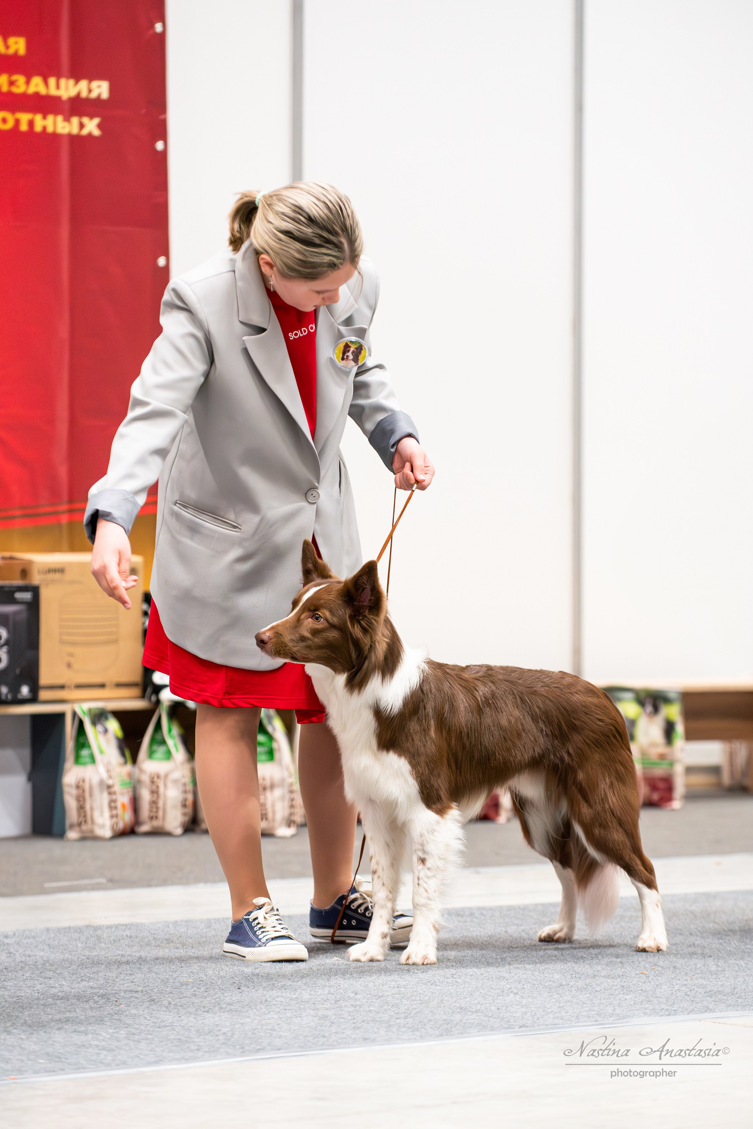 Выставки. Фотограф — Анималист