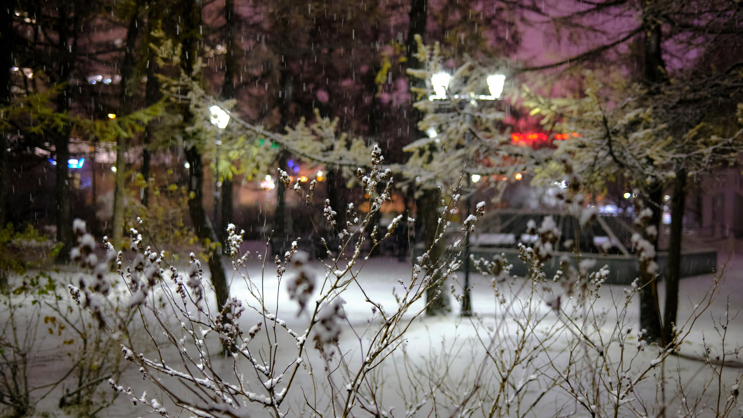 Мурманск. Пейзажи Крайнего Севера. Баренцево море, Рыбачий, Средний, Немецкий