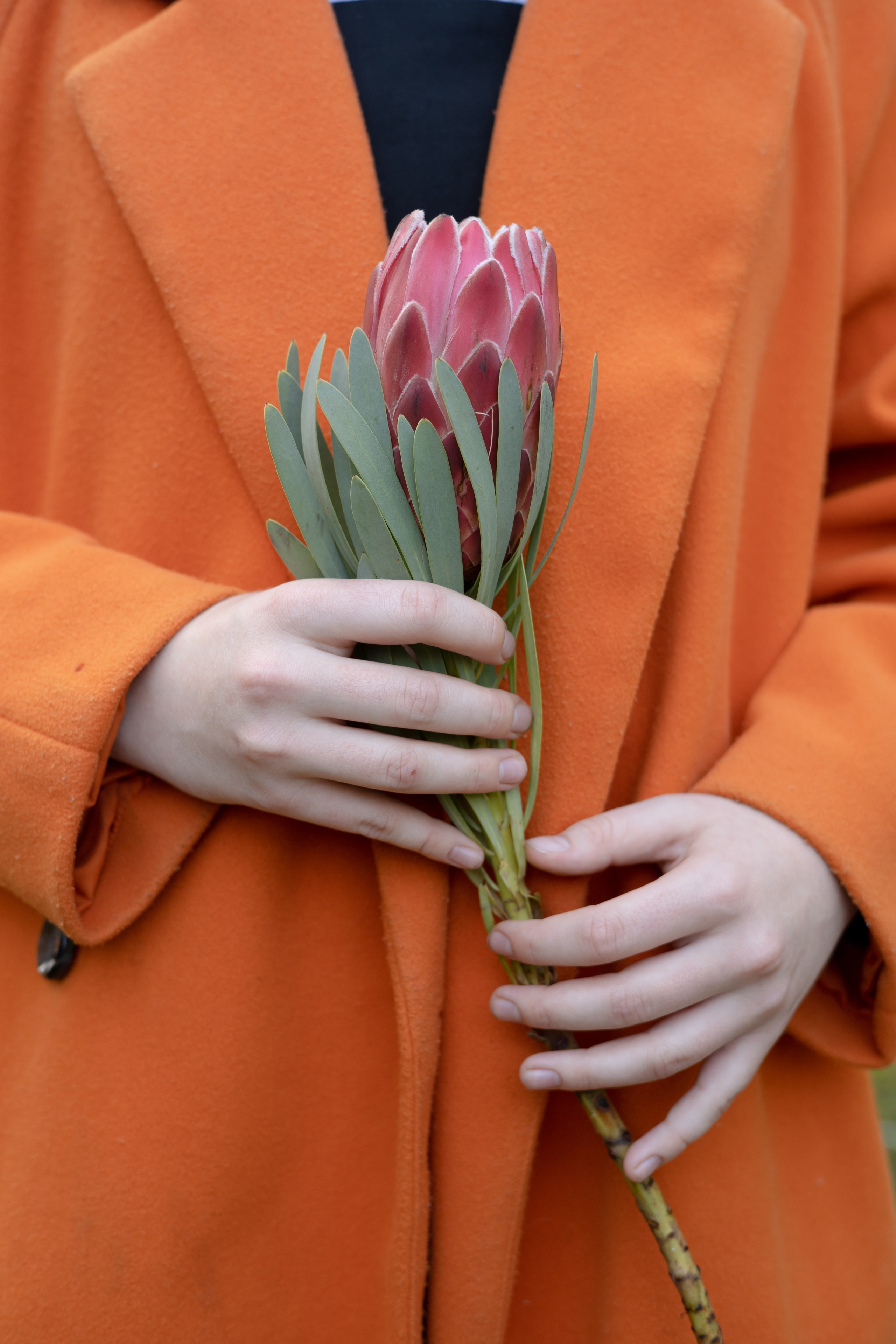 EVA. Фотограф Элла Ефимова