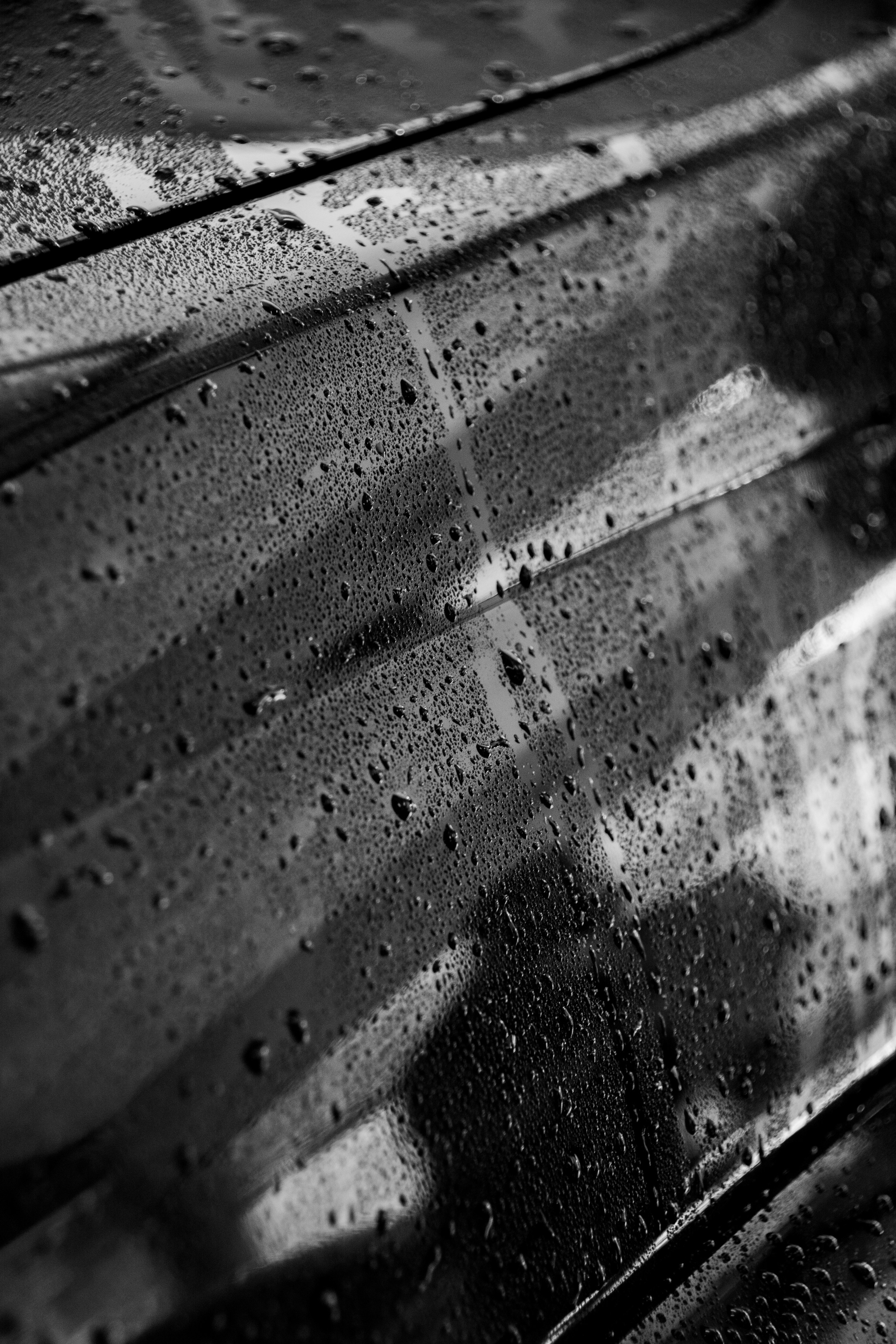 Sam Detailing. Семейный и репортажный фотограф в Хабаровске Татьяна Болычева