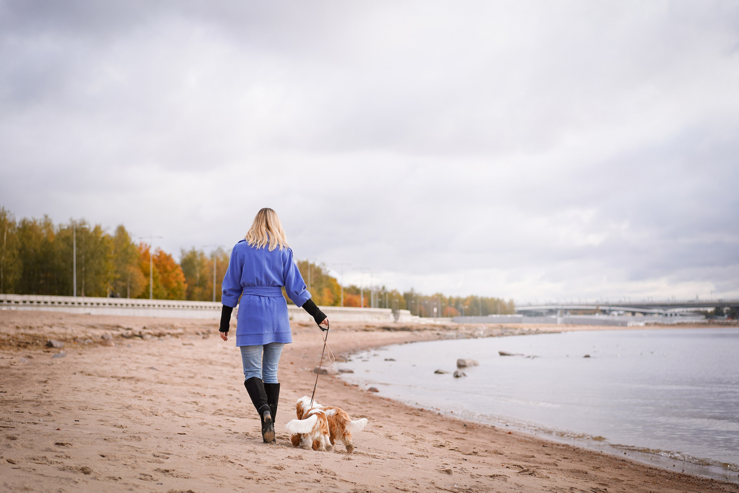 Катя Валера Саша и кавалерчики. Фотограф-анималист в Санкт-Петербурге Яна Мартынова