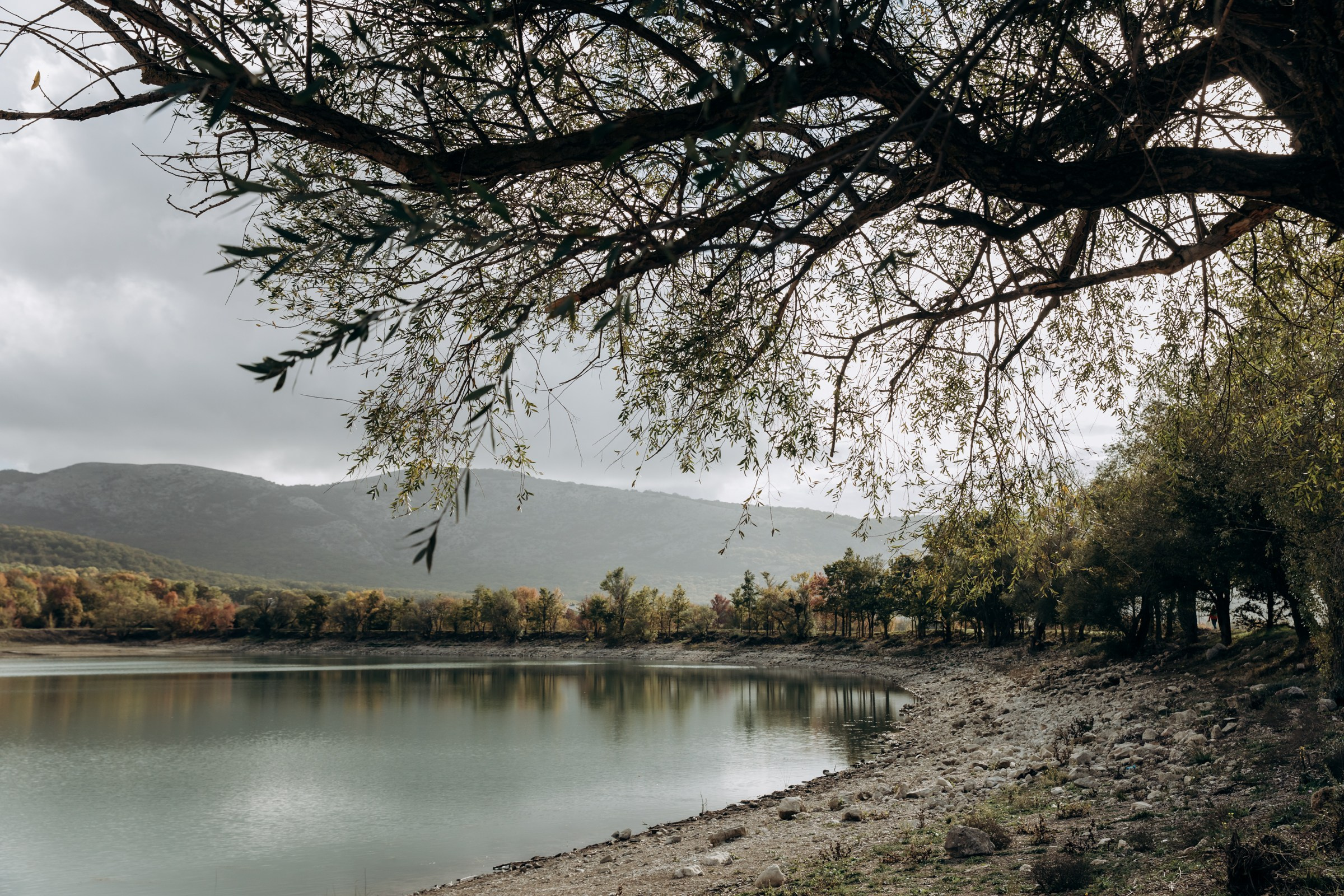 Съёмка для компании INTEQ HAUS из Москвы. Фотограф в Крыму — Федор зайцев. Свадебная, семейная и портретная съёмка. Фотографии для контента, для бизнеса. Корпоративная съёмка