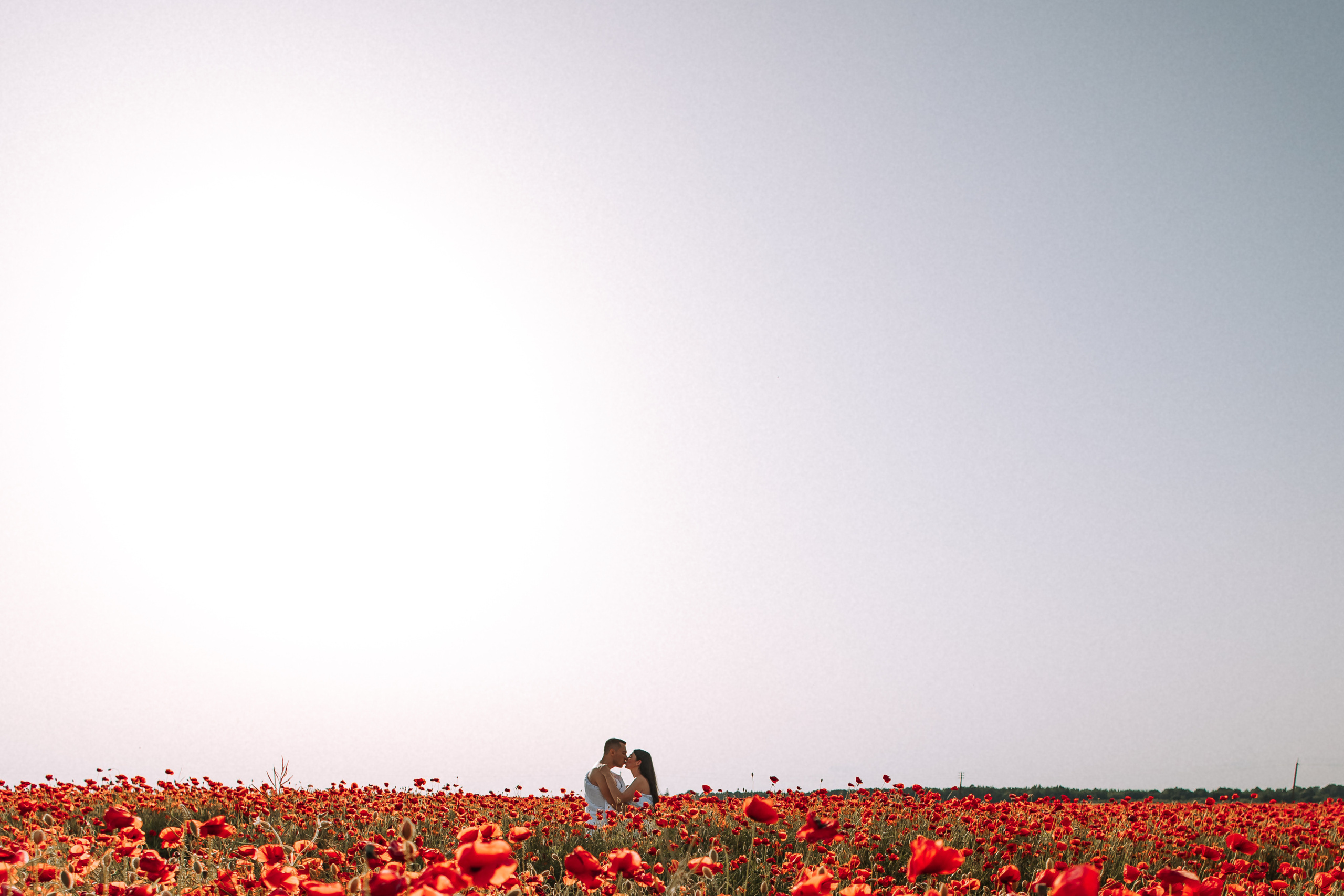 Love in poppies ❤️. Свадебный фотограф Минск РБ
