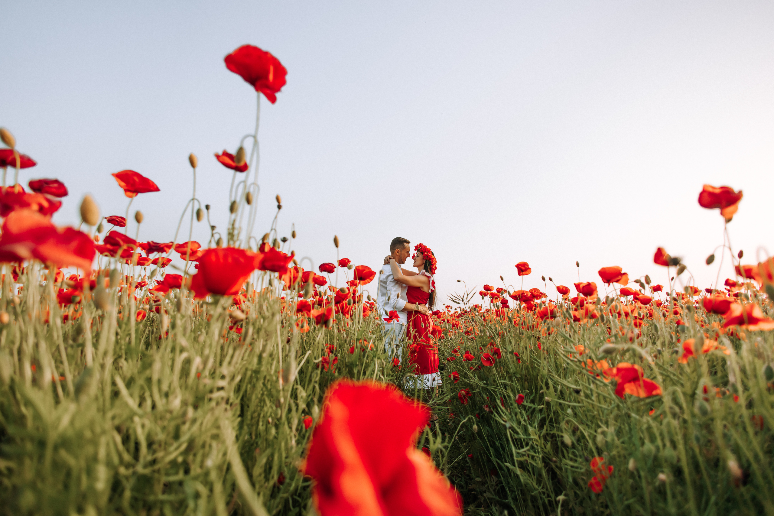 Love in poppies ❤️. Свадебный фотограф Минск РБ