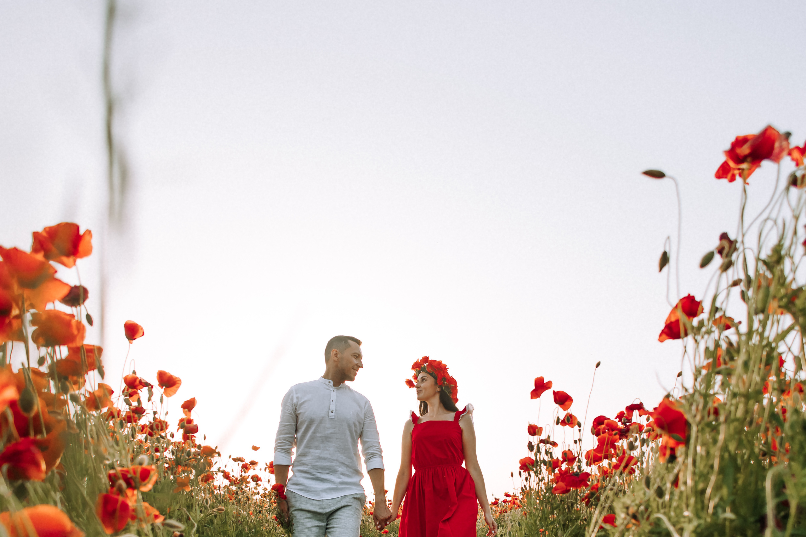 Love in poppies ❤️. Свадебный фотограф Минск РБ