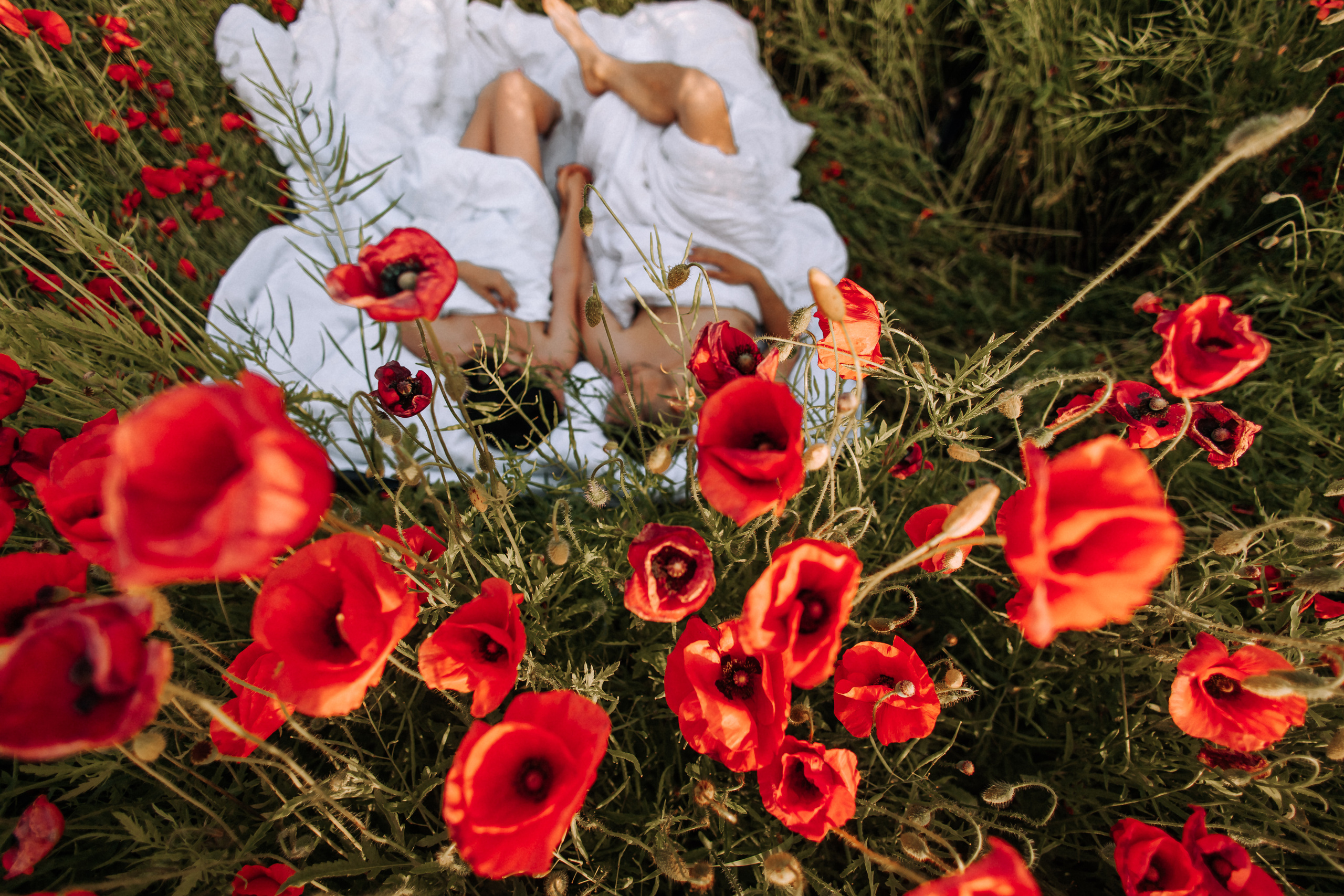 Love in poppies ❤️. Свадебный фотограф Минск РБ