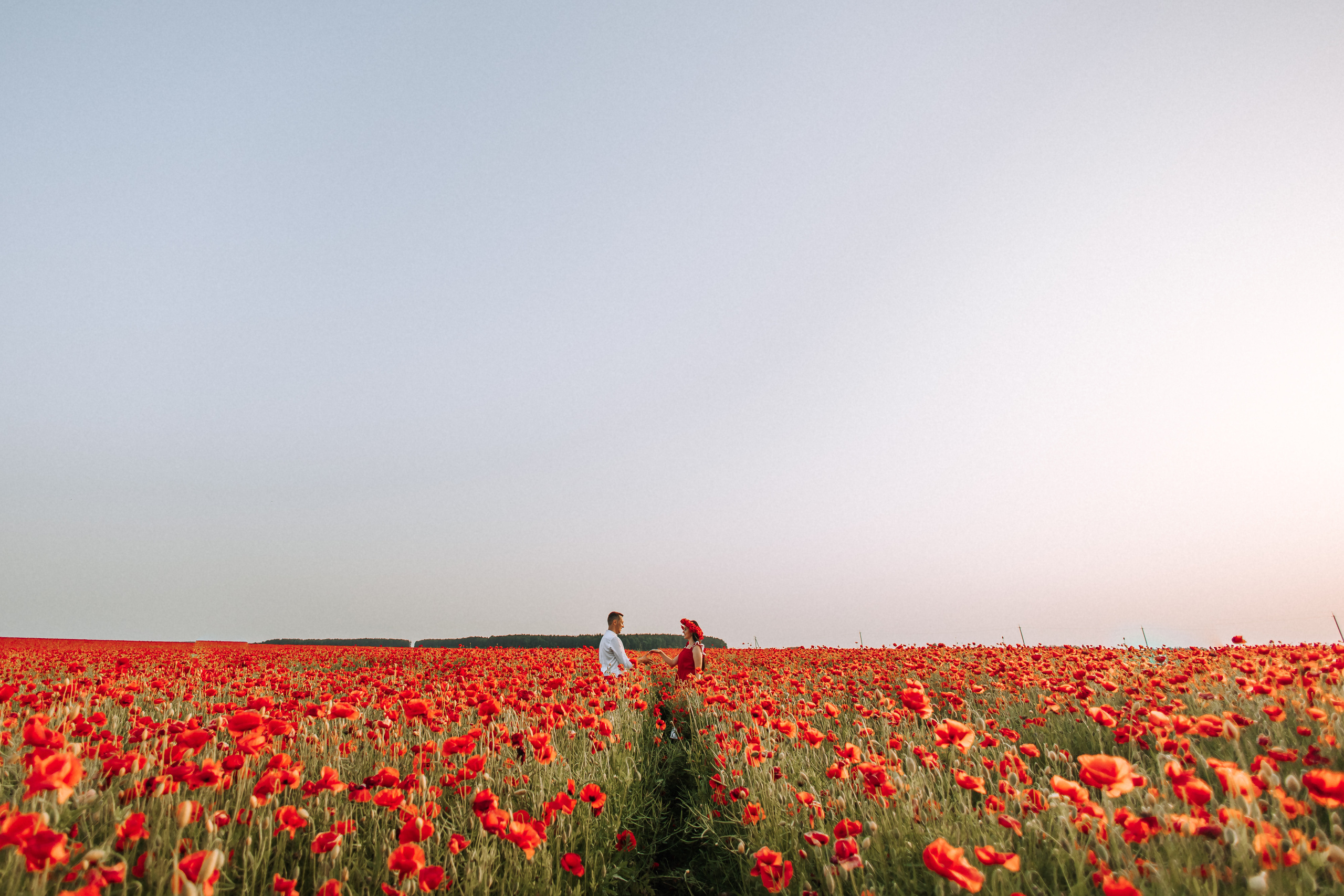 Love in poppies ❤️. Свадебный фотограф Минск РБ