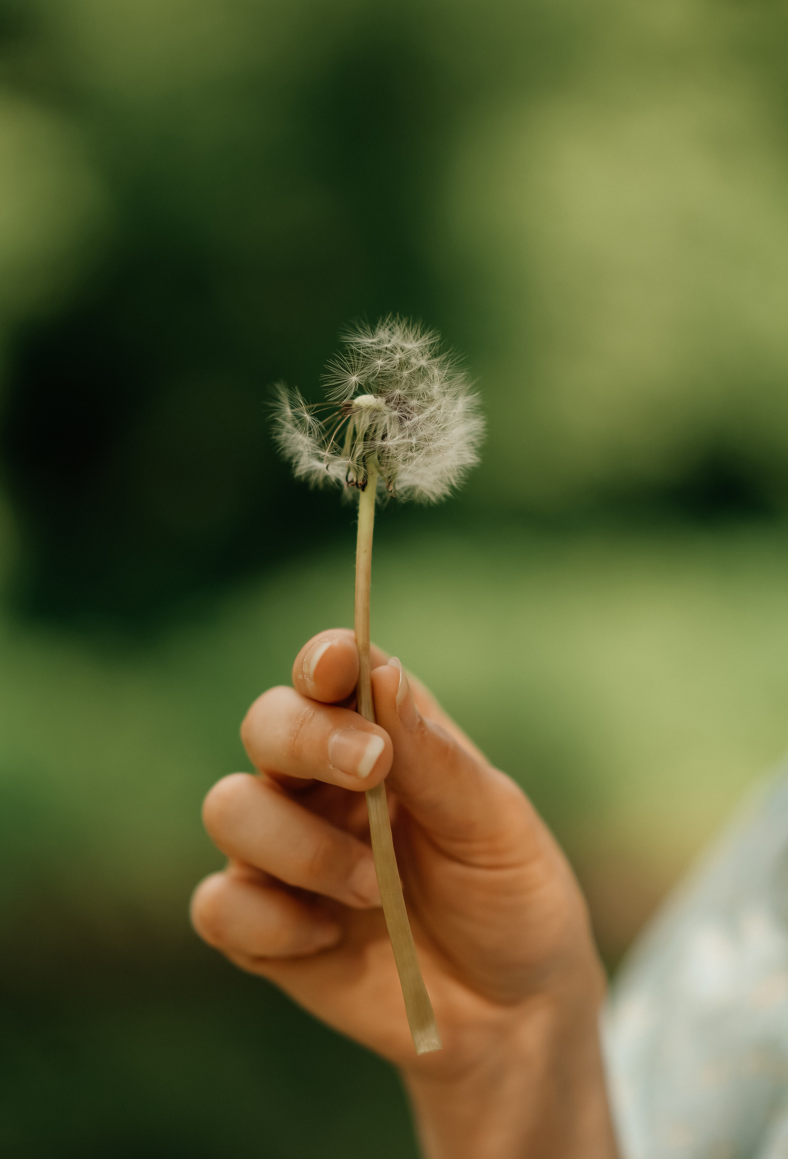 Аня прогулка. Семейный фотограф Олеся Батурина Рязань