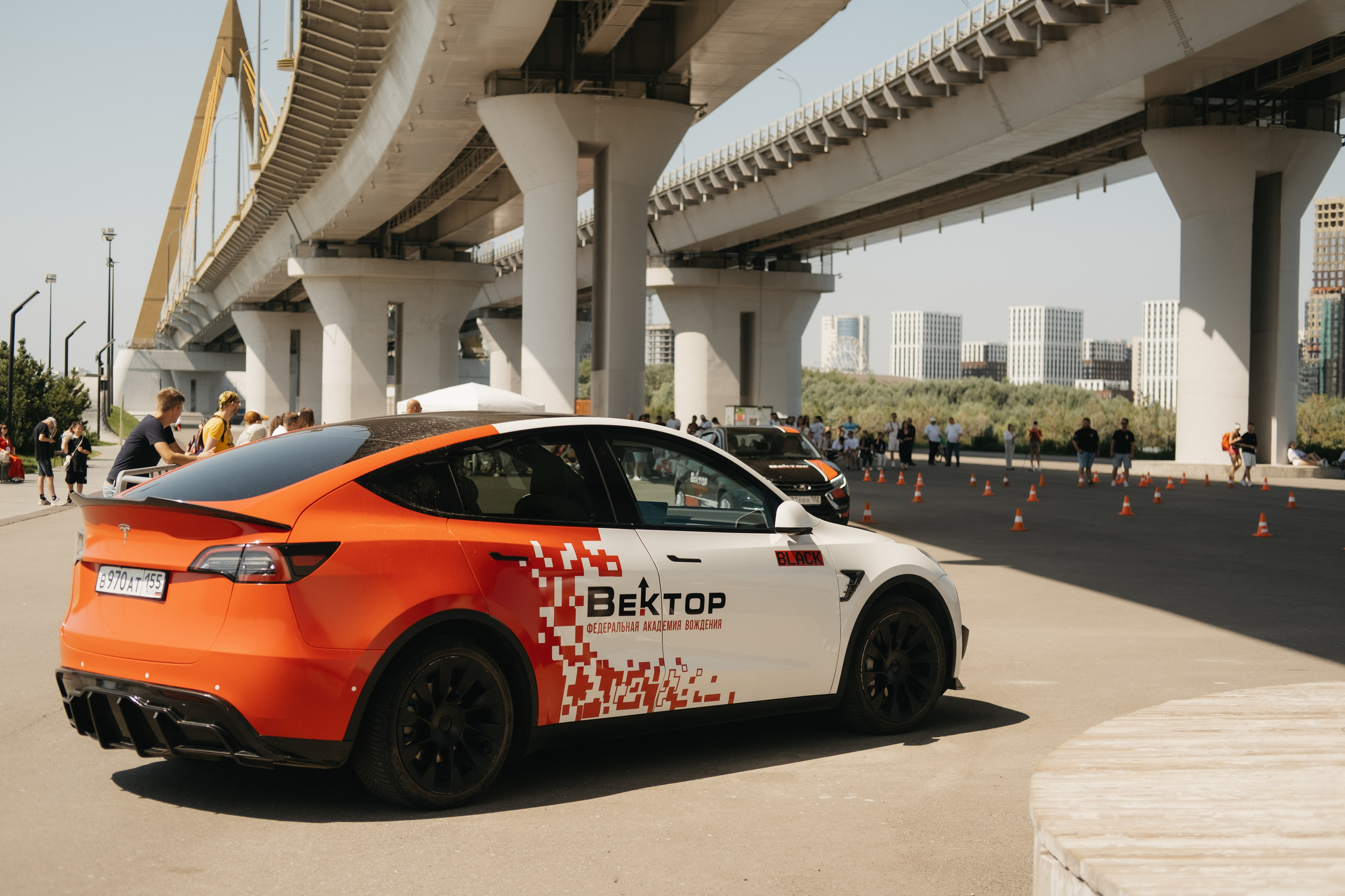 VECTOR FEST. Обо мне