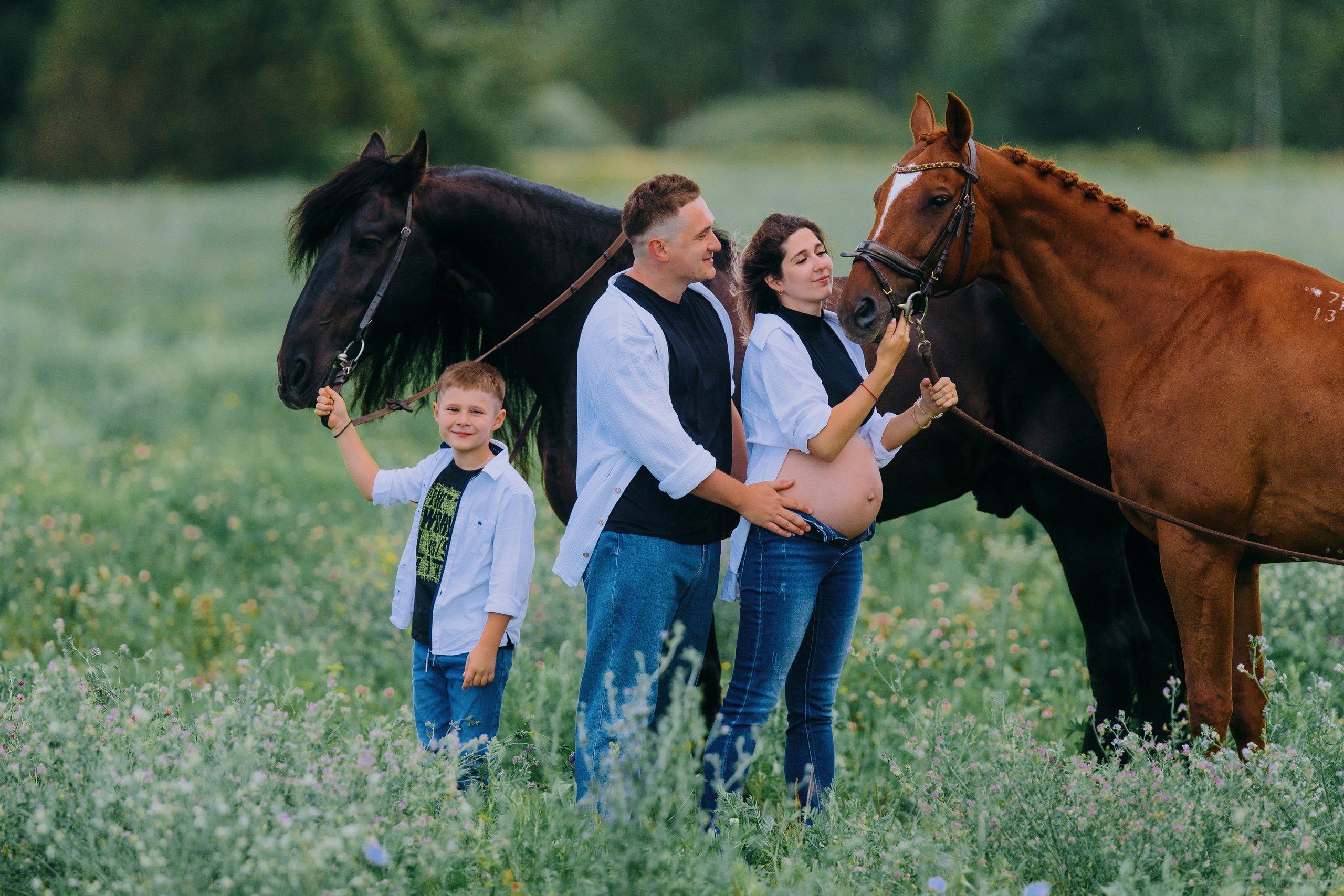Лена, Серёжа, Петя и Брабус. Фотограф-анималист Ксендзова Кристина