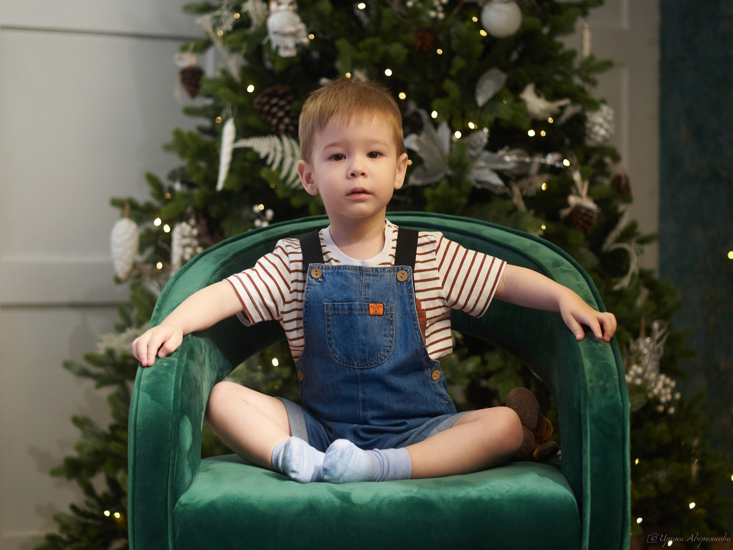Новогодние. Фотограф в Ульяновске Ирина Аверьянова