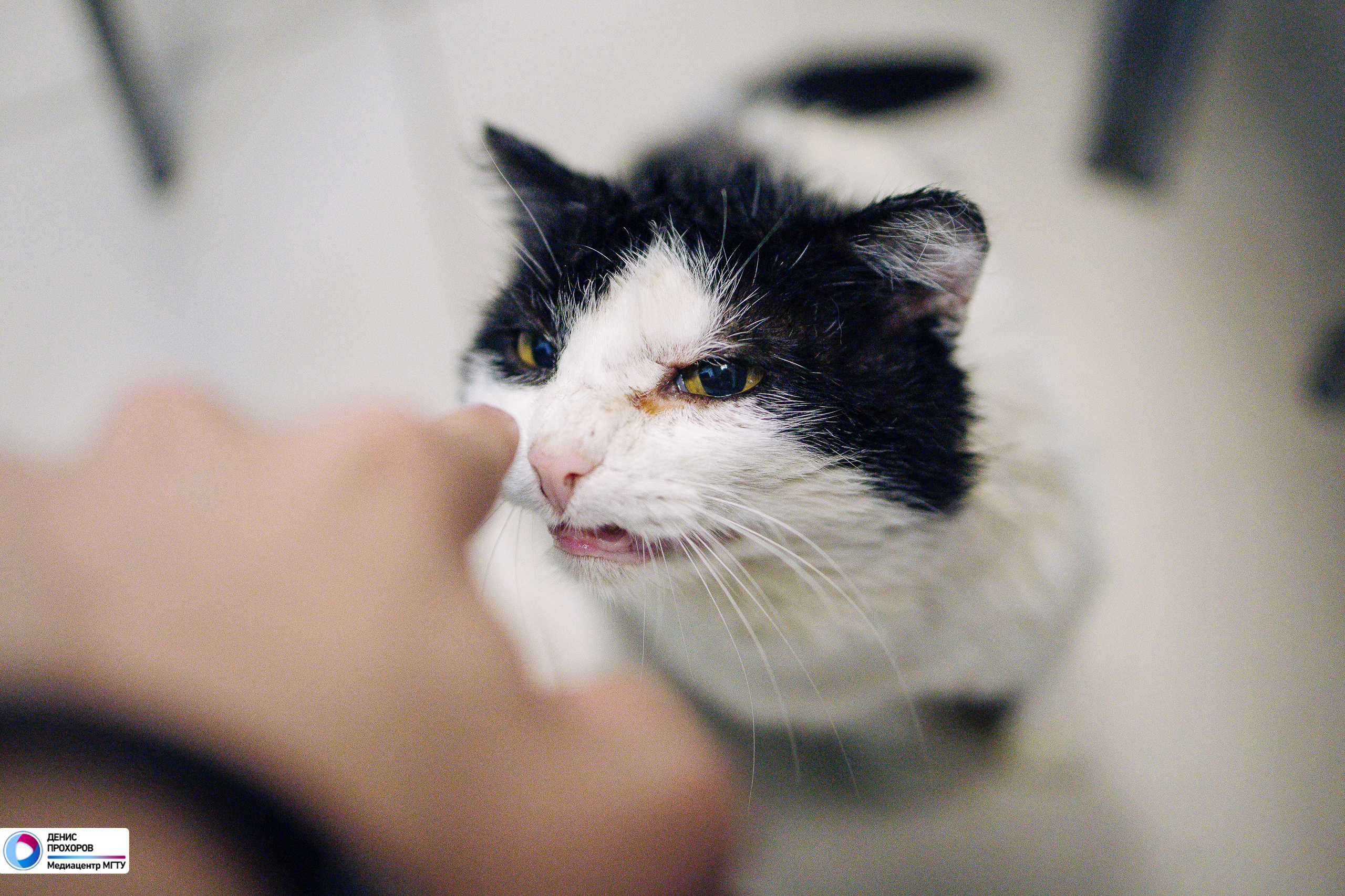 Школа MEDIA // 07.06- 09.06.2024. Денис Прохоров Фотограф в г. Магнитогорск