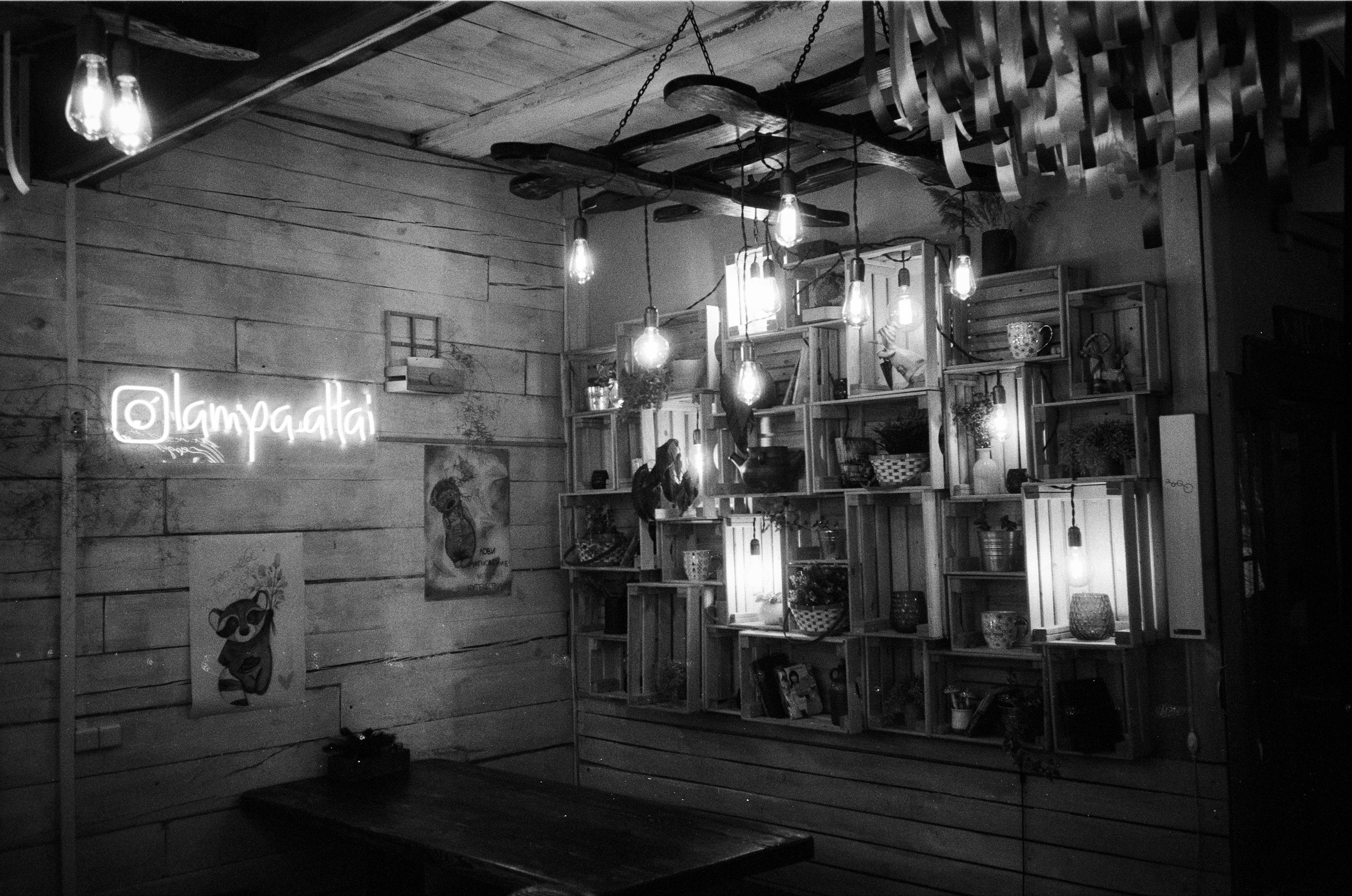 Olympus AF-10 SUPER / Ilford PAN 400 / Алтай, зима 2023 год