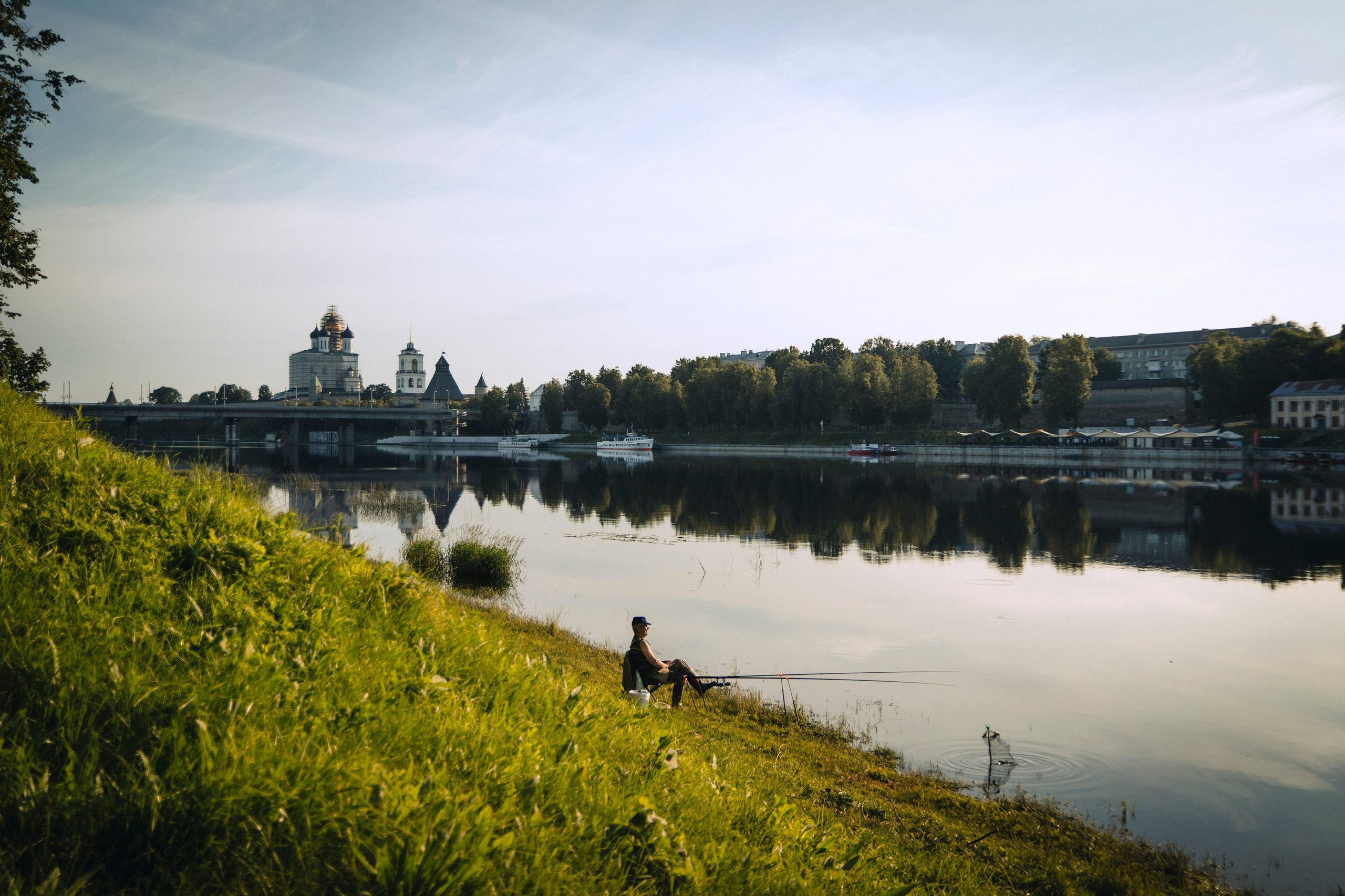 Из наблюдений. Плак или Квак