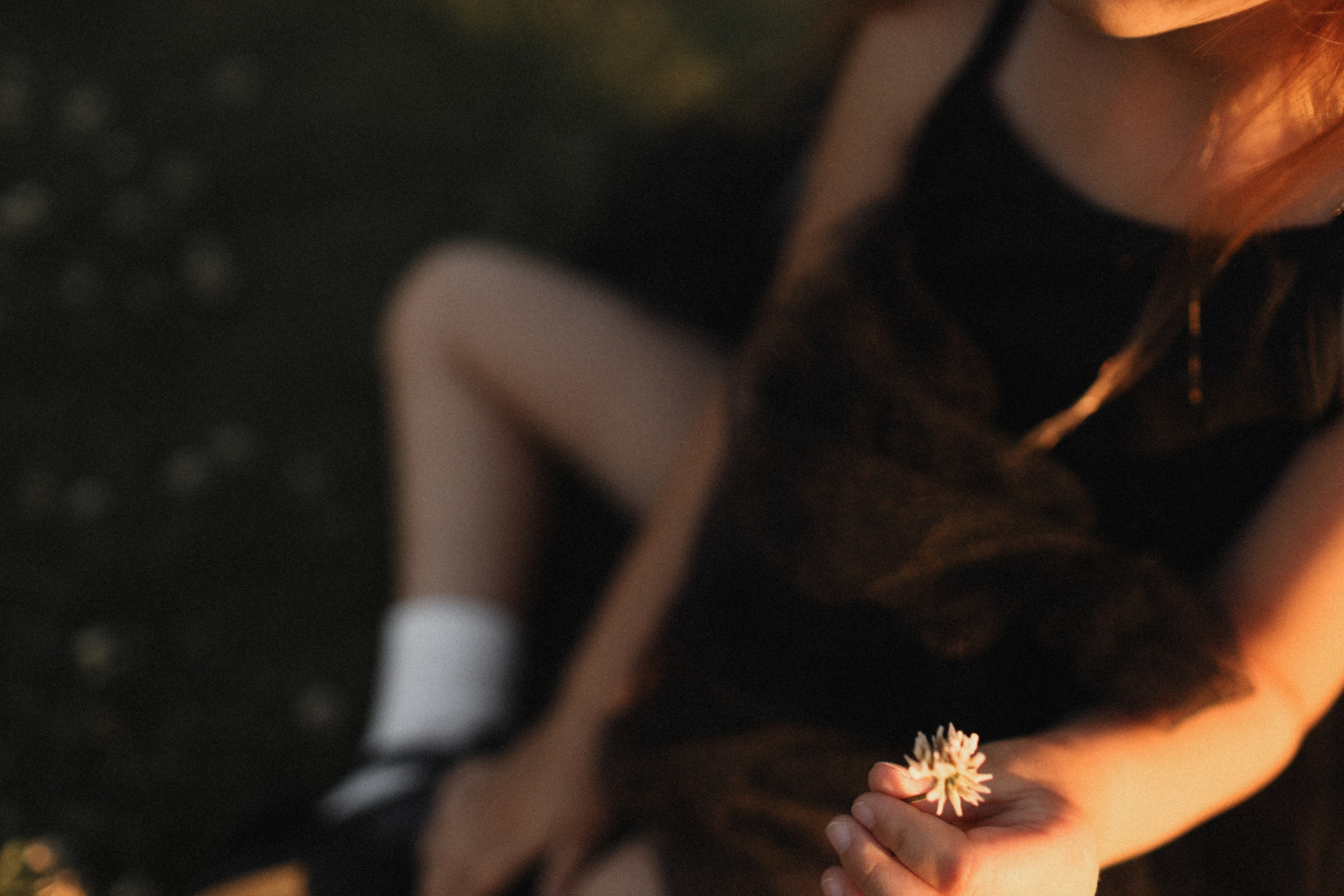 Mushrooms. Фотограф Воронцова Виталия Крым Севастополь