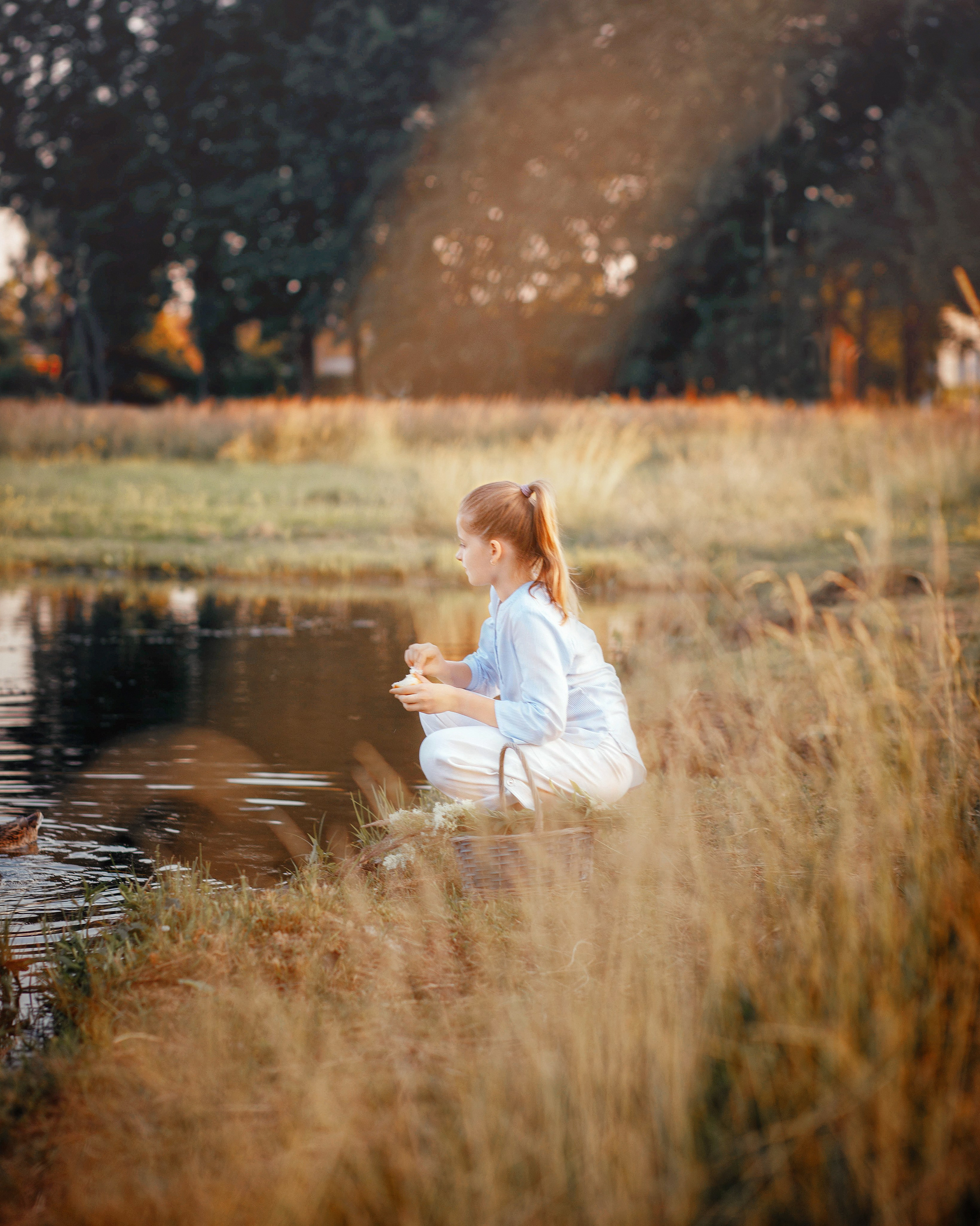 Фотопрогулки. Главная