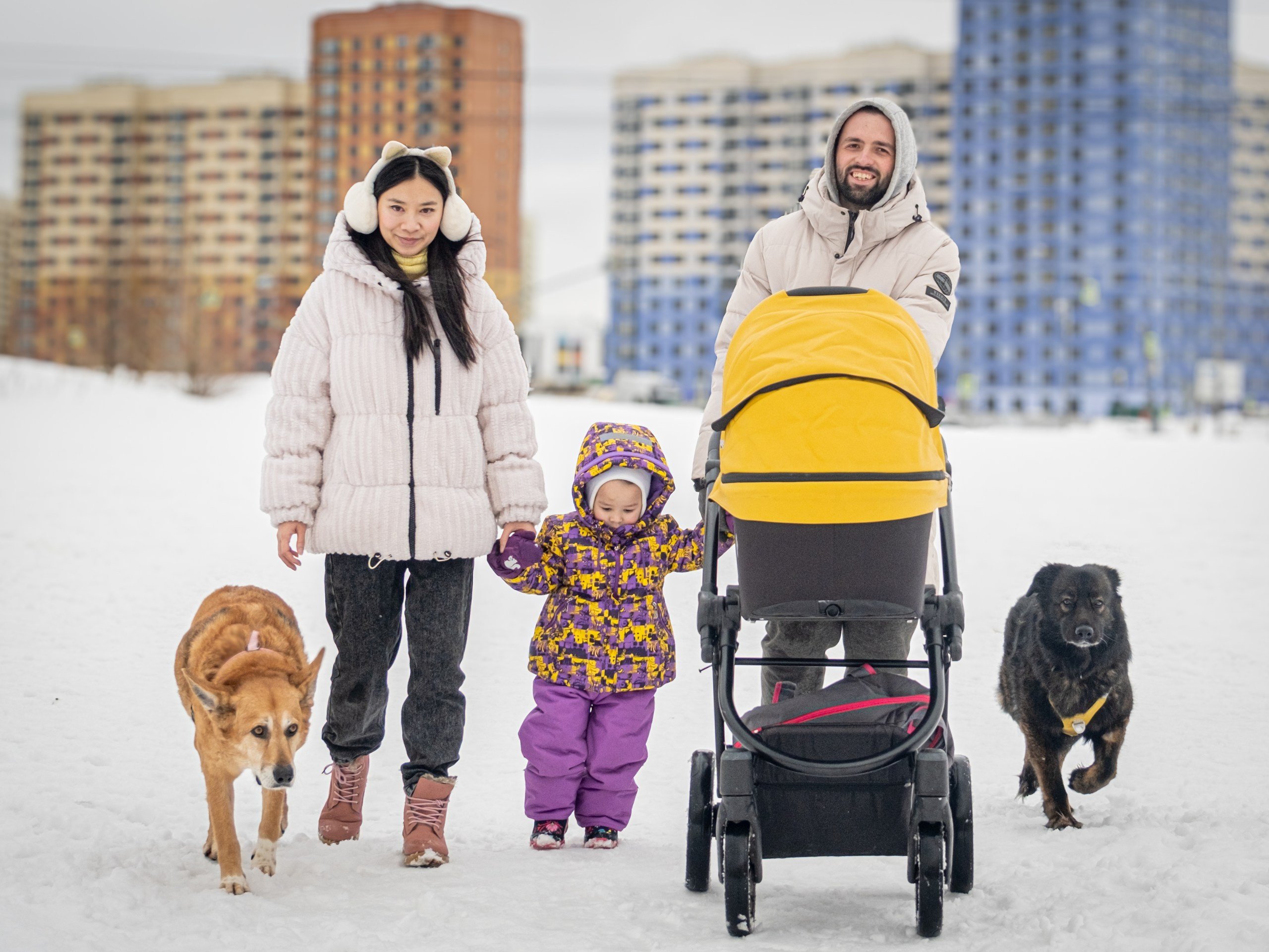 Прекрасная семья Кирилла и Лилии!. Зоофотограф, фотограф животных в Москве и области Дина Дамоцева