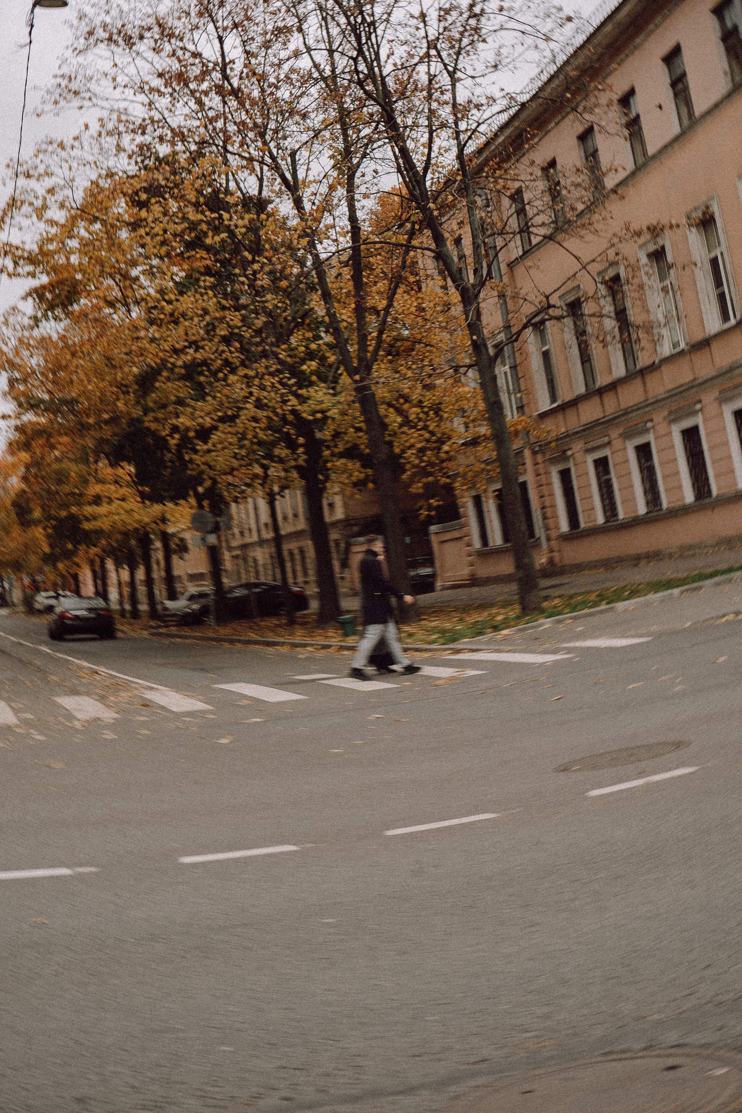 Прогулка по городу. Профессиональный фотограф, Санкт-Петербург — Виктория Богомолова