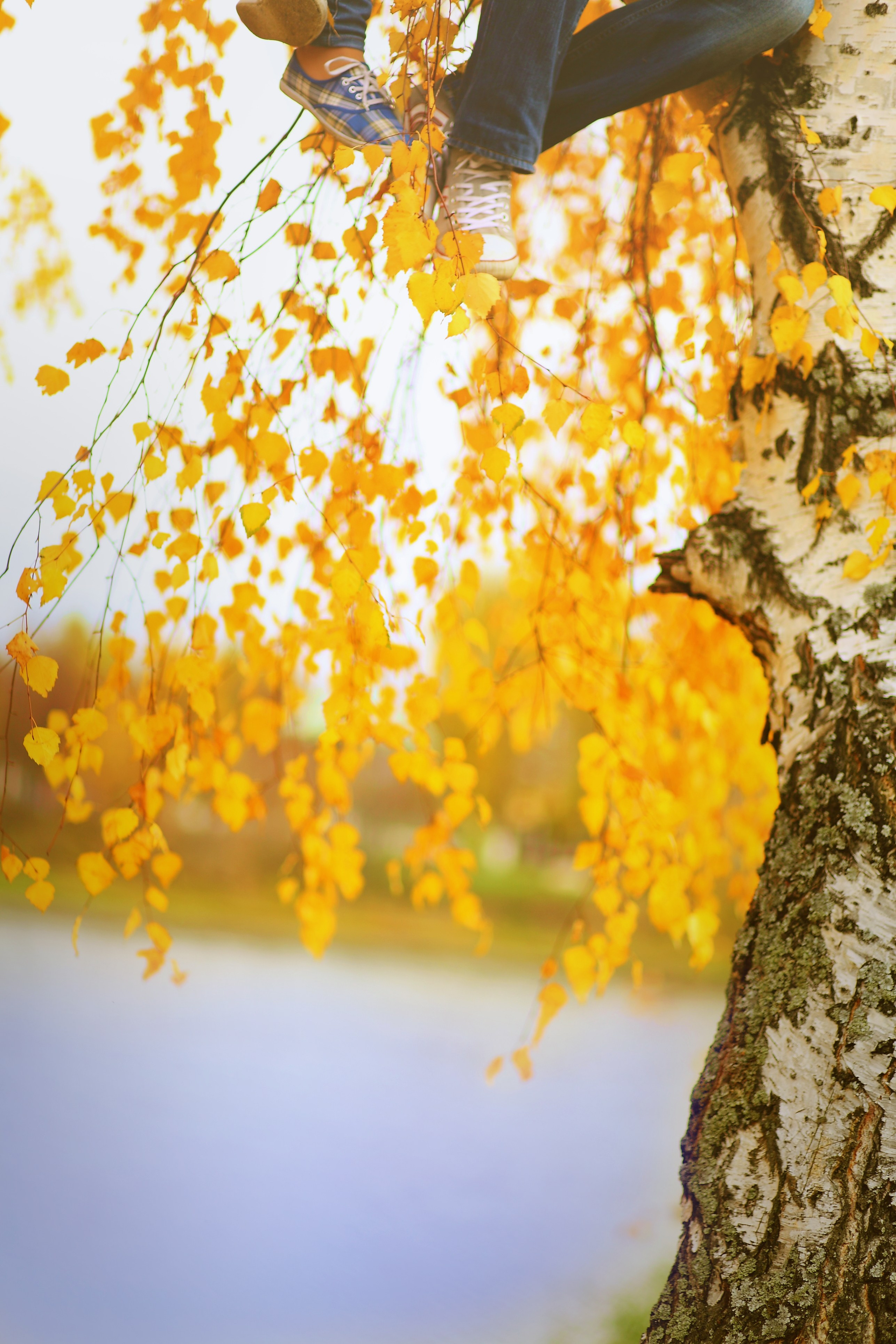 Досвадебные любовные истории или Love — story. Свадебный и репортажный фотограф в Ярославле и Санкт-Петербурге Роман Микрюков