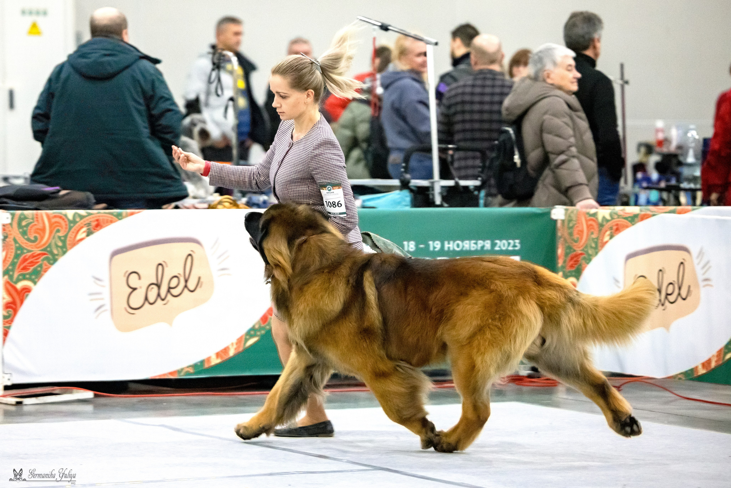 ЕВРАЗИЯ 18-19.11.2023. Фотограф-анималист Юлия Германика
