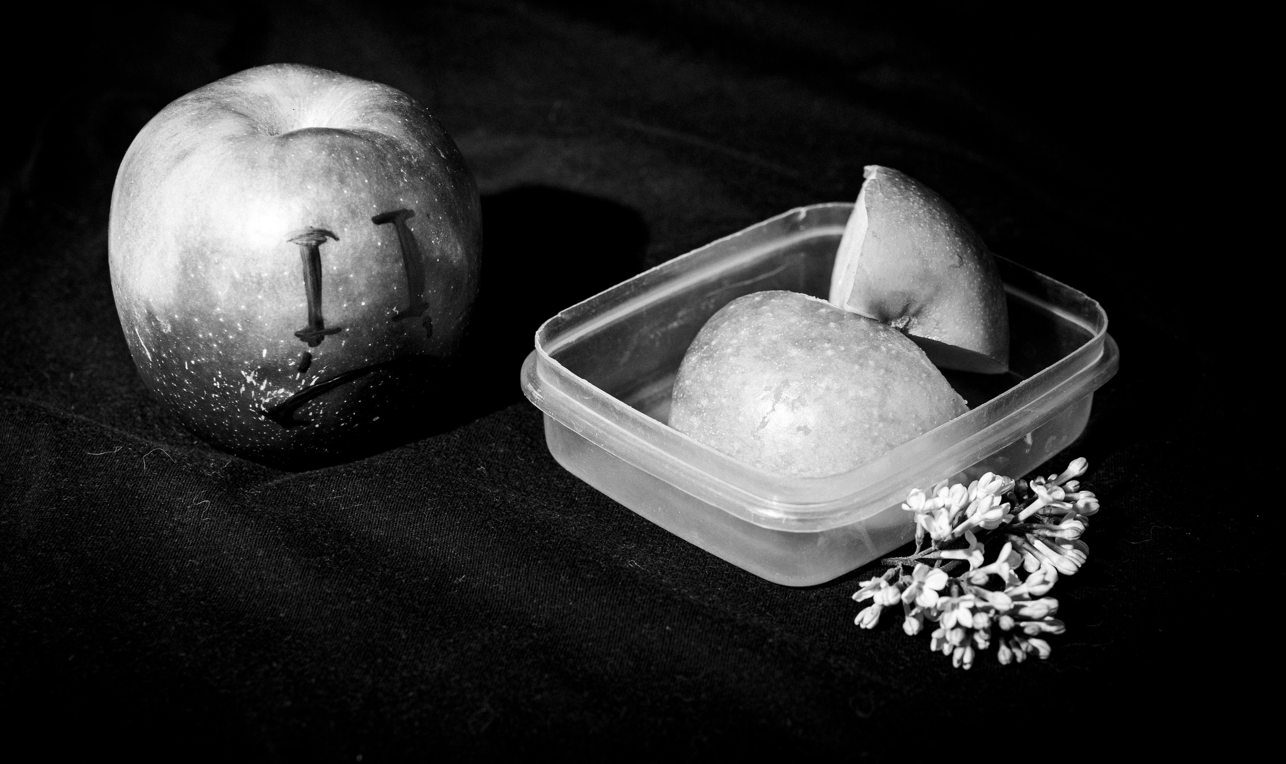 Натюрморты. Фотограф и оператор в Москве Елизавета Коргалидзе