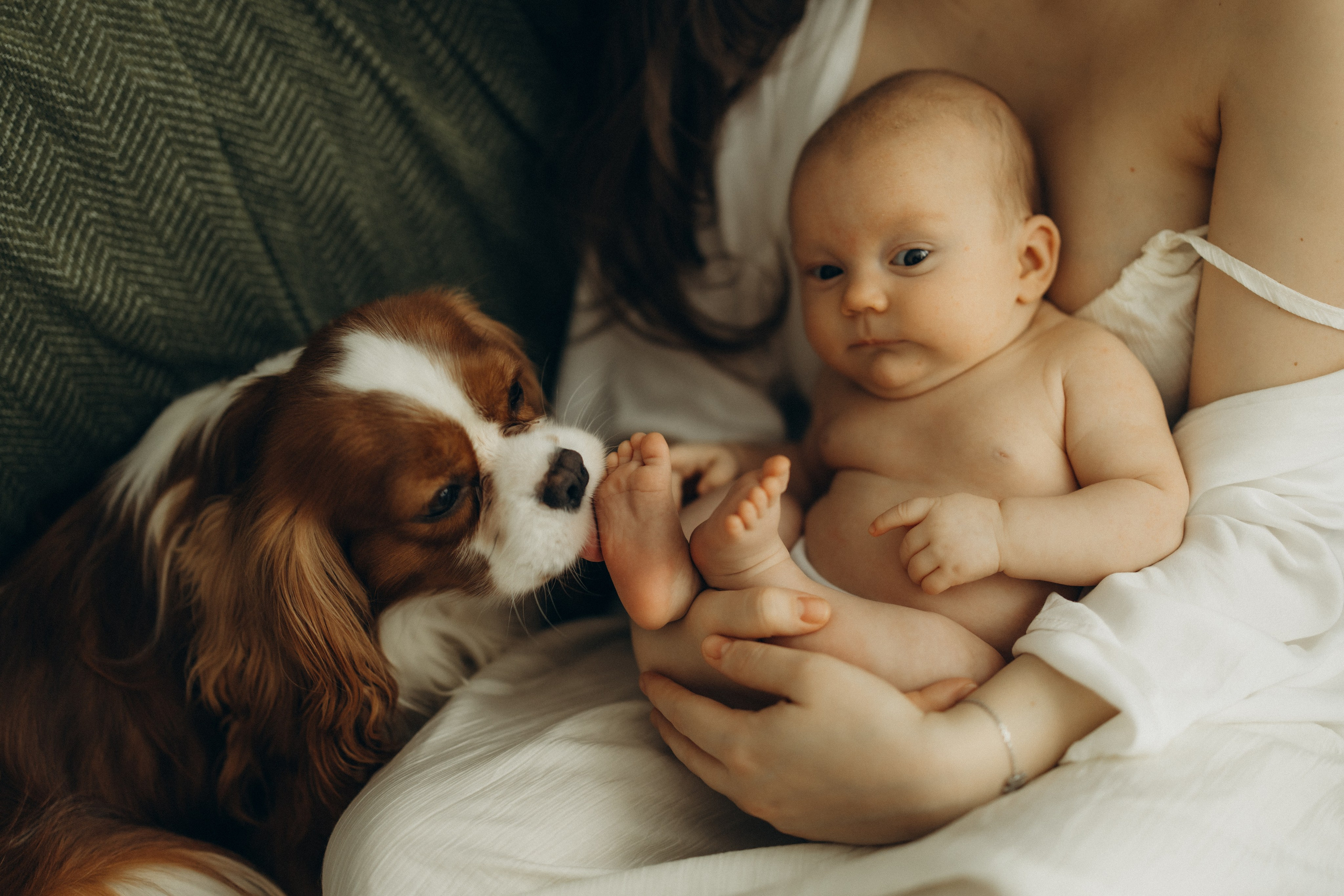 Аня, Ефим, Лимон. Семейный фотограф Оля Гладченко