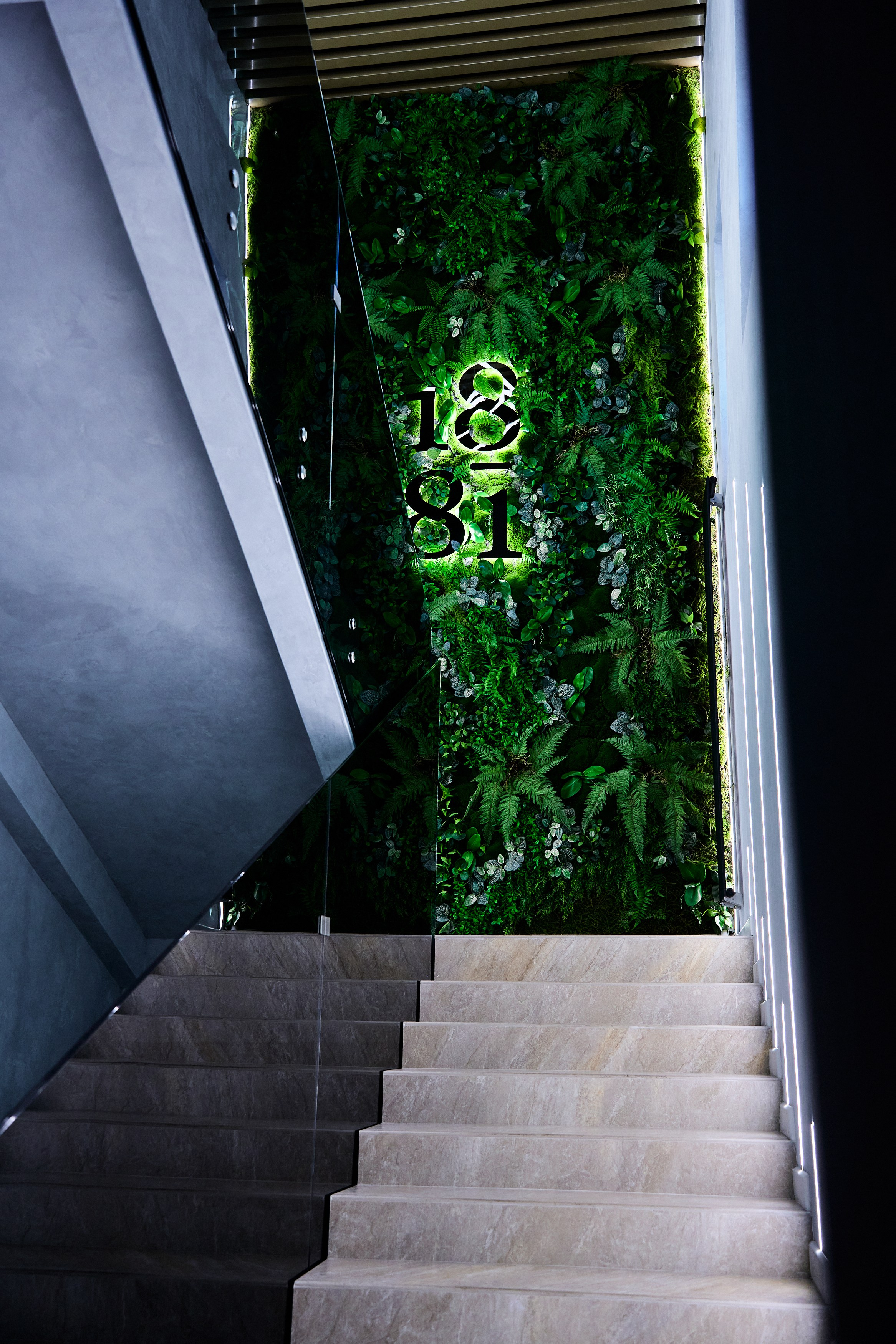 Интерьерная съемка 1881. Фотограф в Хабаровске