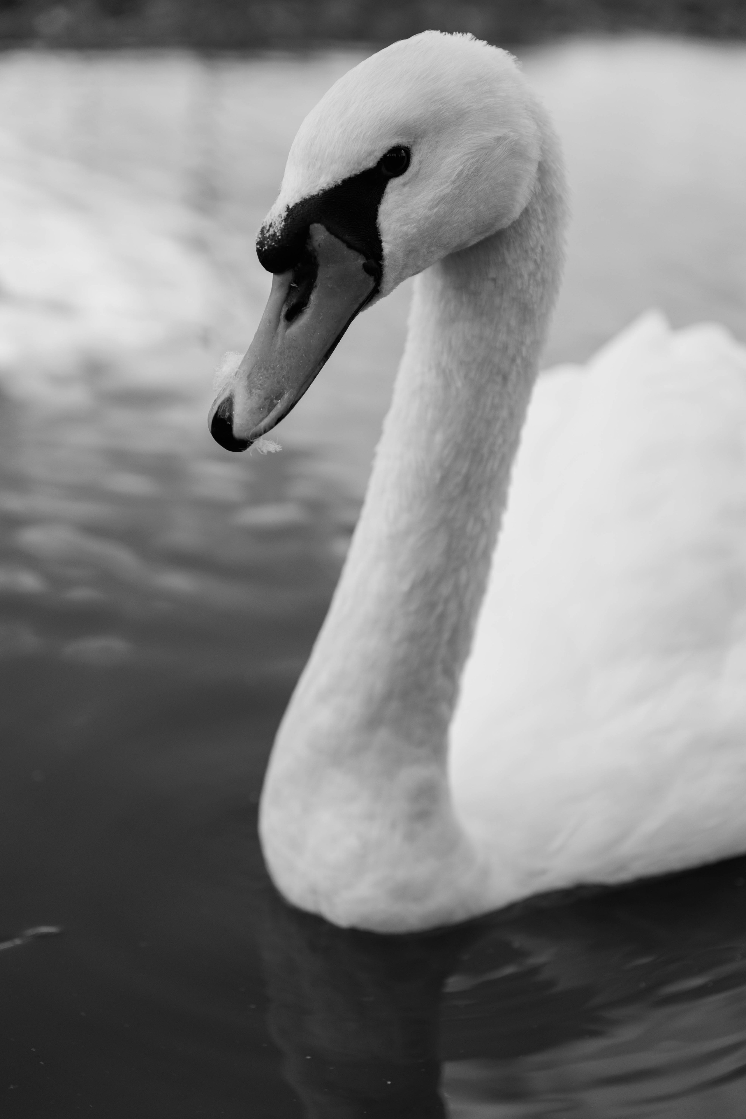 Евгений и Дарья. Фотограф Юсова Мария