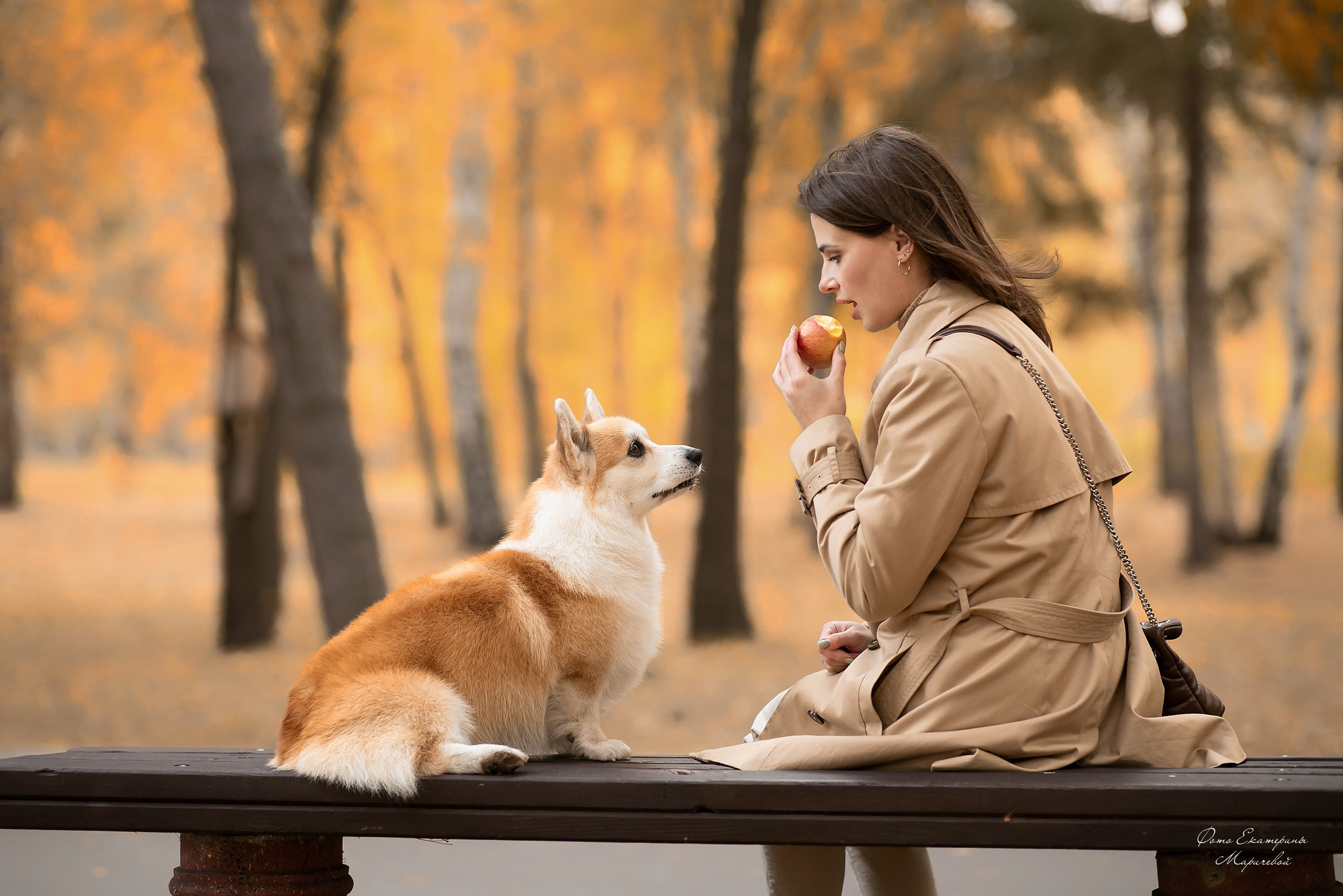 Выездная съёмка с естественным светом. Фотограф-анималист в Омске Екатерина Маричева