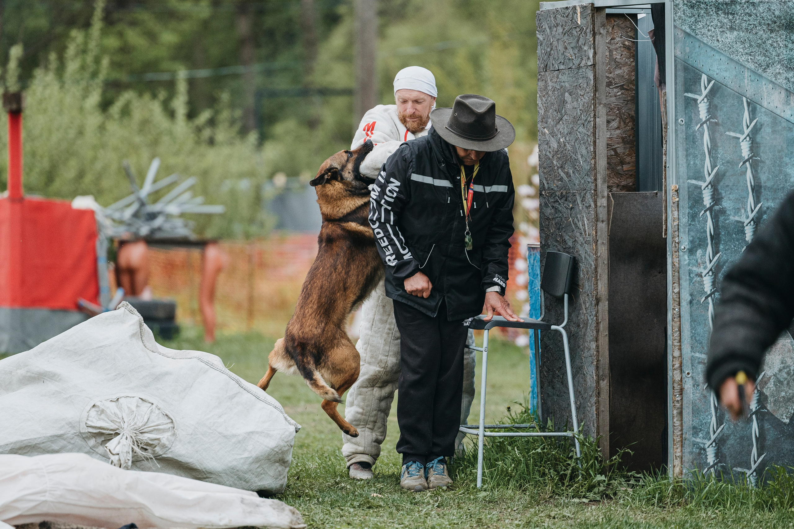 26.05.25 г. Пушкин квалификационные соревнования. Фотограф-анималист Анна Маринич