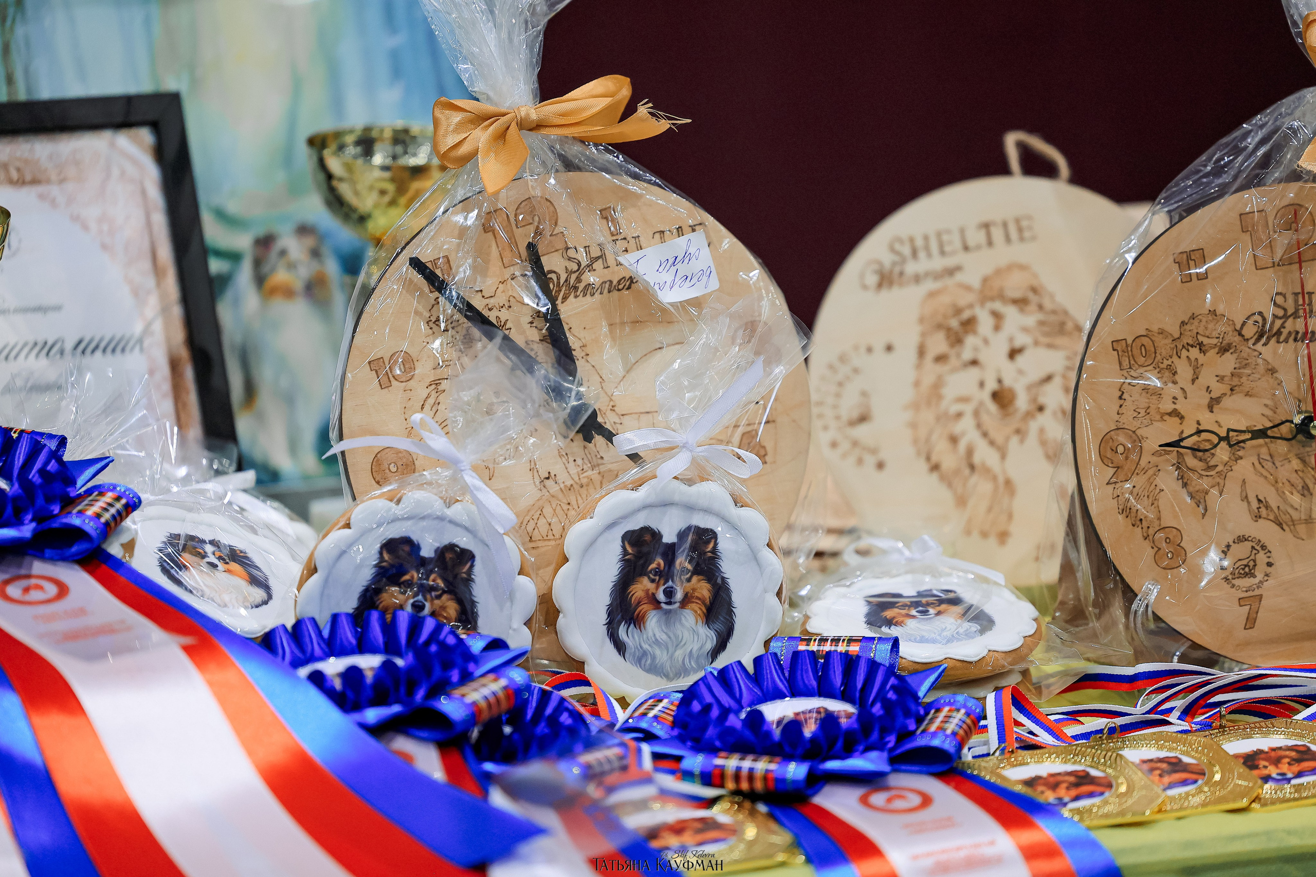 выставка собак в Новосибирске ABSOLUT WINNER-2026, Рейтинговая выставка собак