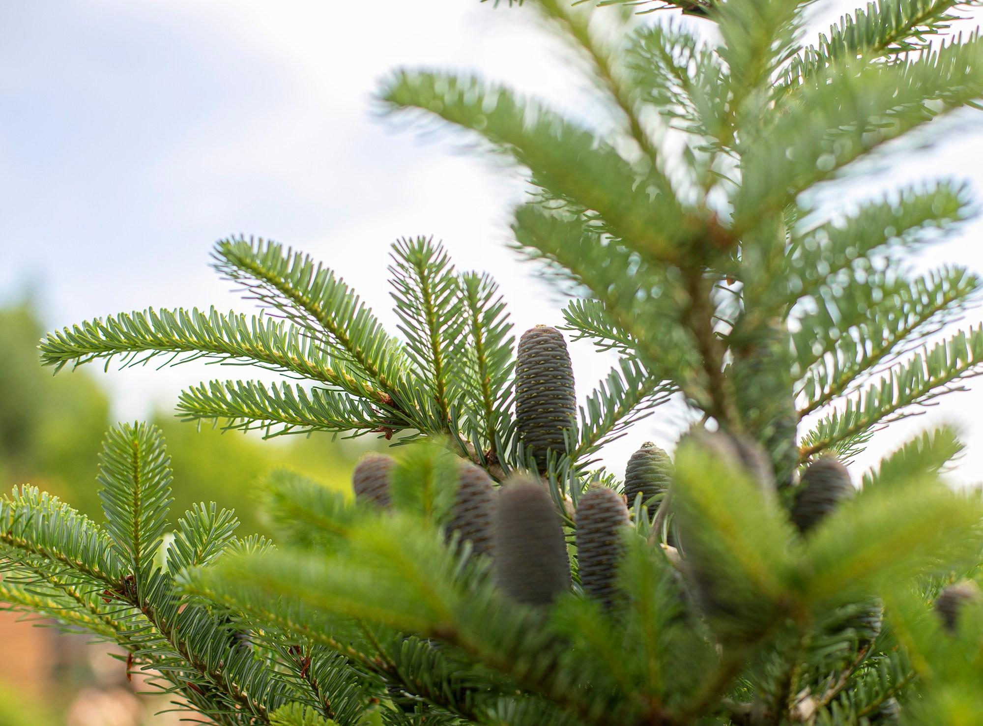 Парк-заповедник Купидон. Семейный фотограф в Димитровграде Елена Патрушева